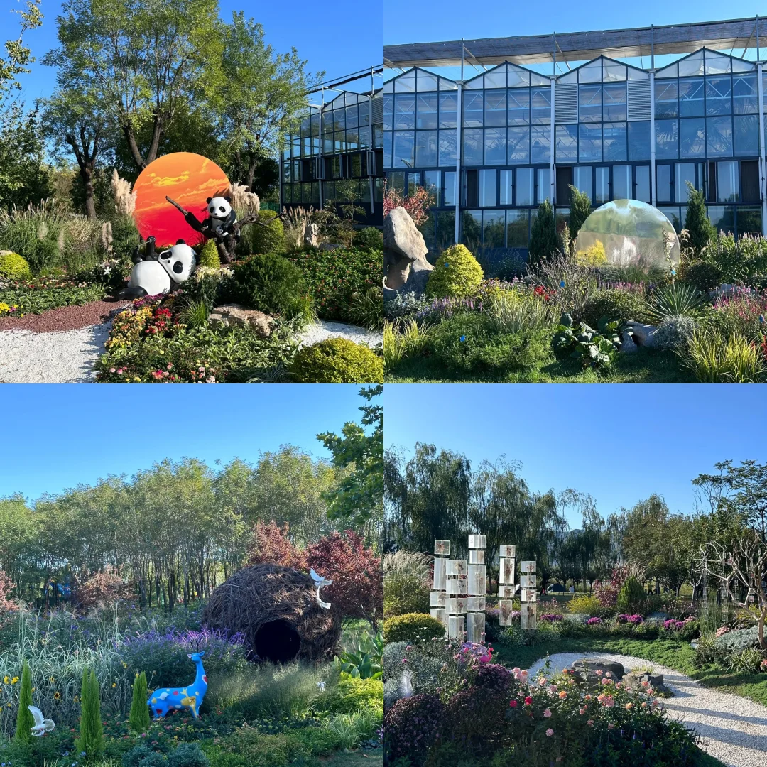 🌷周末到河北，石家庄龙泉湖湿地美爆了！