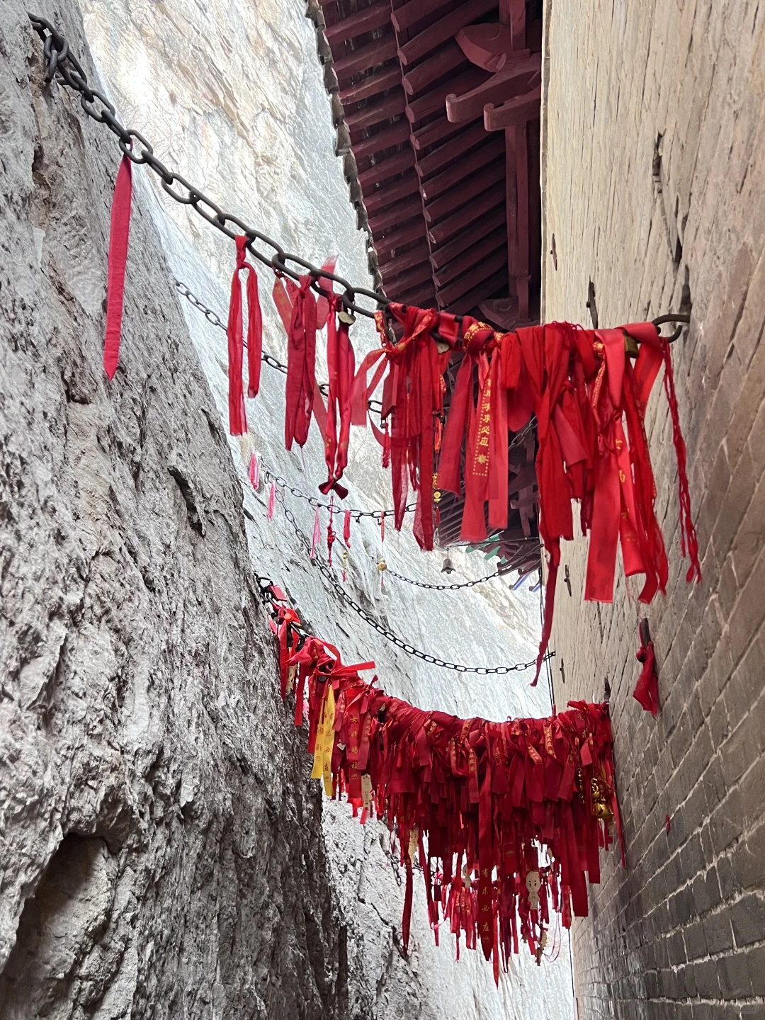 🐕带着毛孩子自驾奔赴邯郸 | Day3