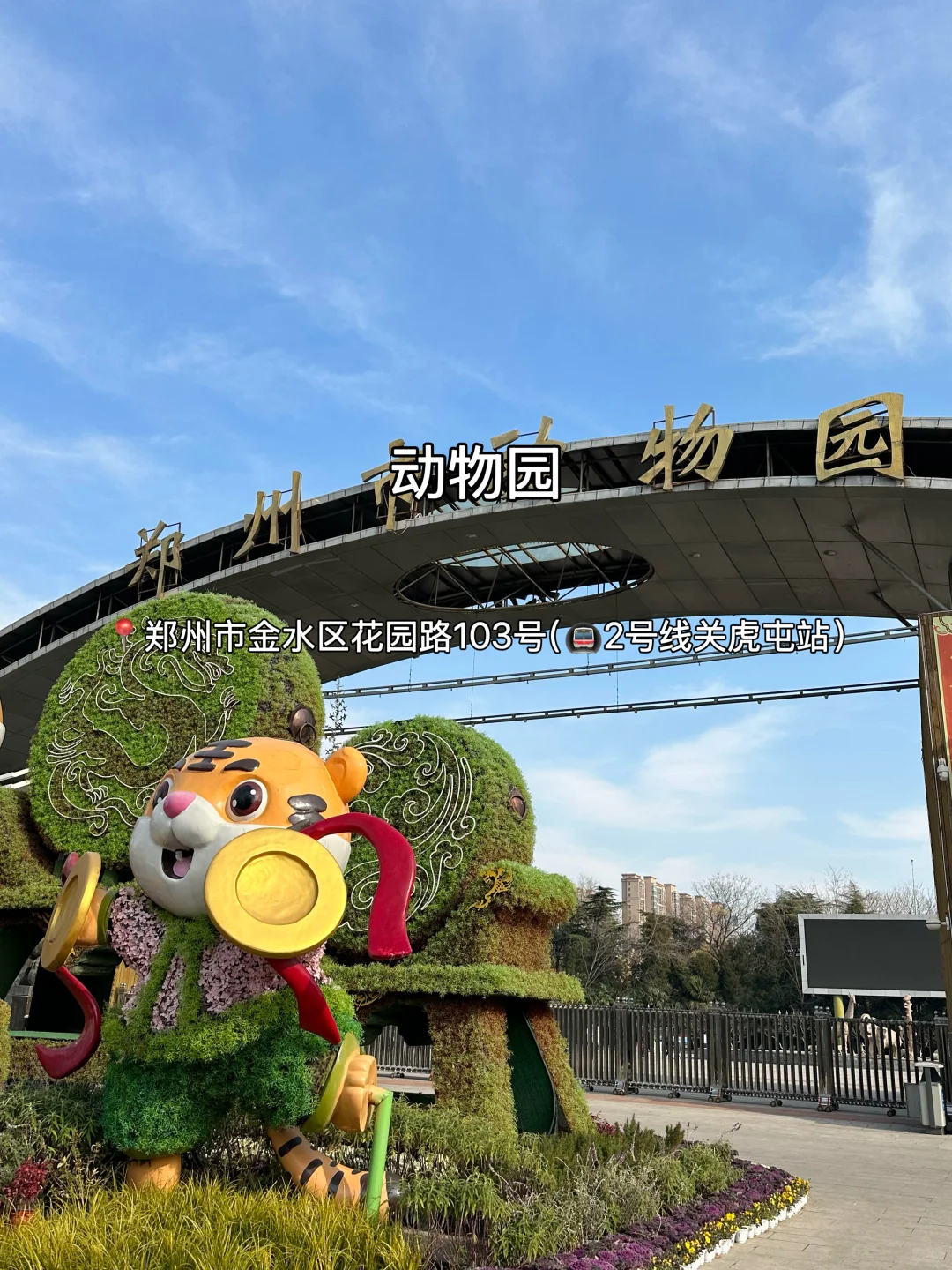 N刷郑州！千万不能错过这篇完整攻略‼️