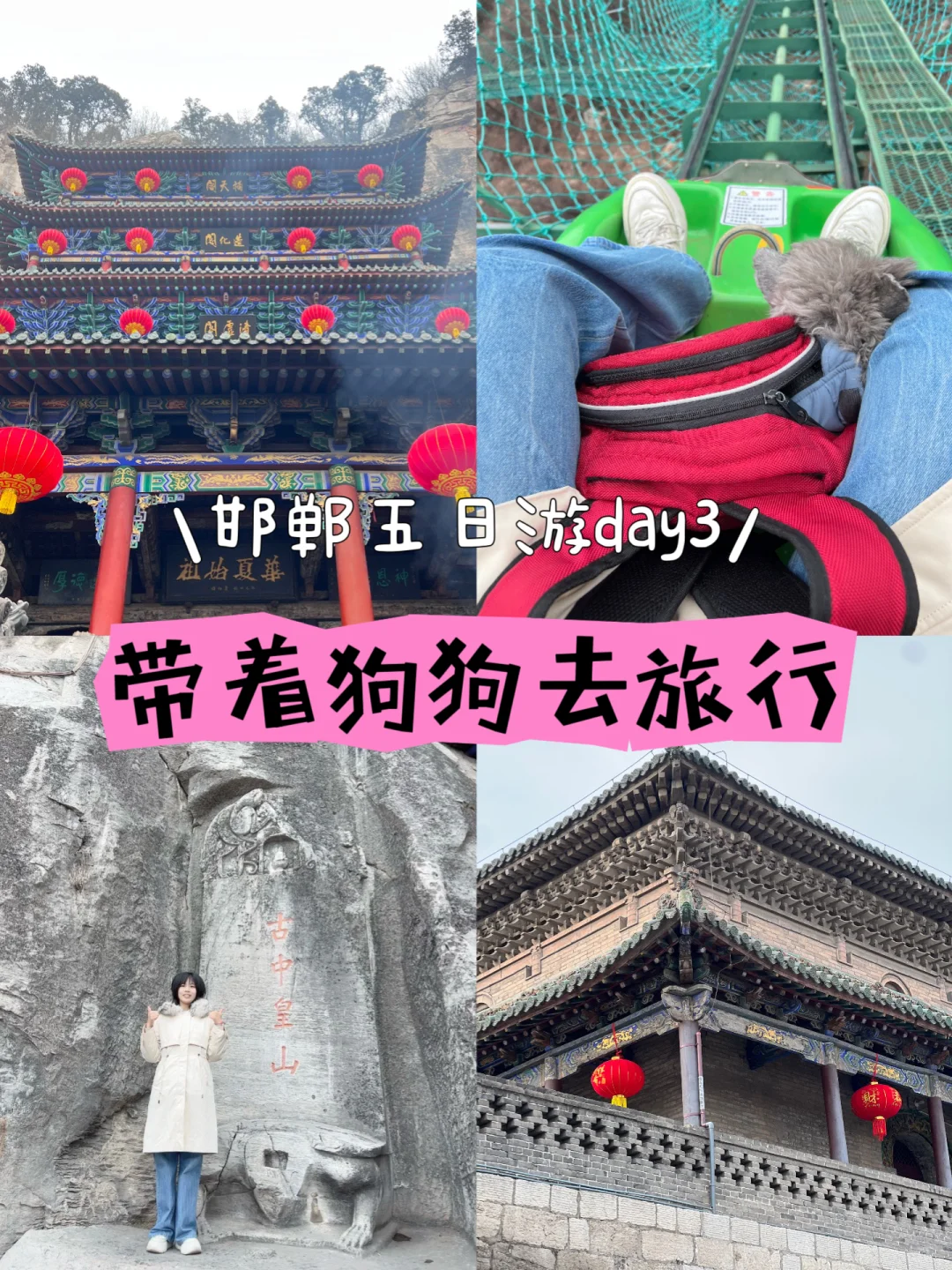 🐕带着毛孩子自驾奔赴邯郸 | Day3