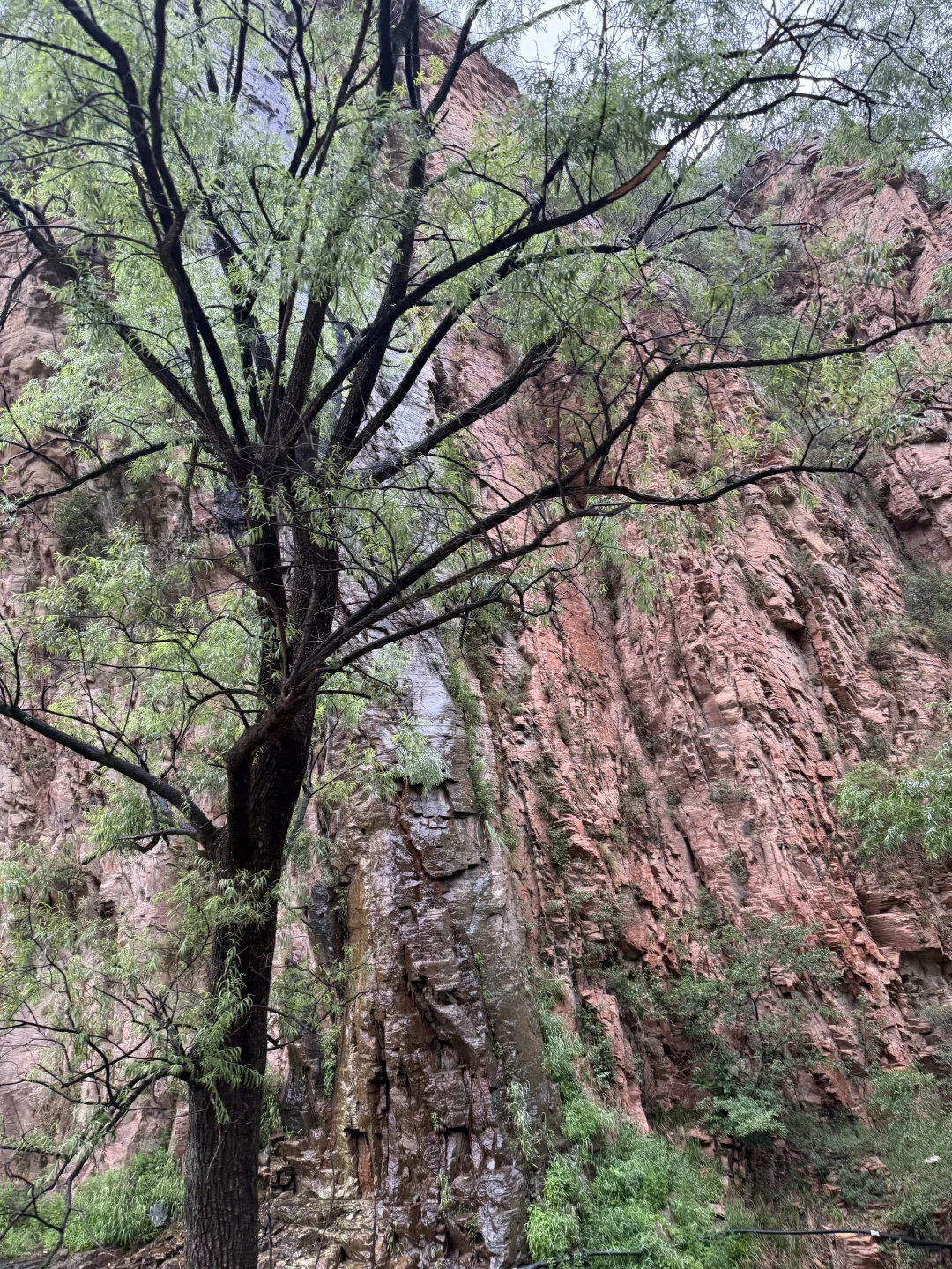 这么近那么美 周末到河北（性价比超高农家乐