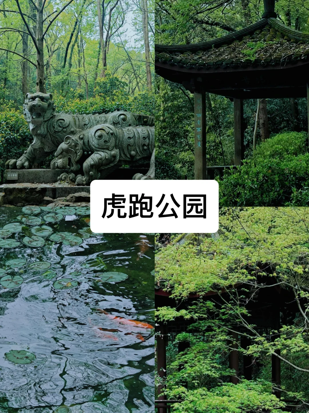 来杭州度夏必去的8️⃣大景点（不踩雷小众版）！