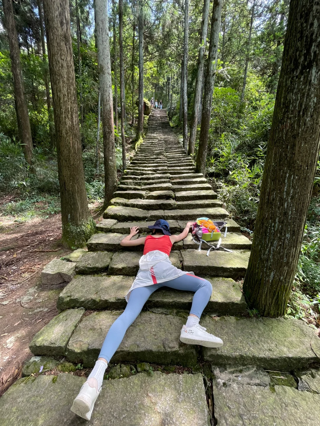 这山又免费了！！不爬对不起自己！