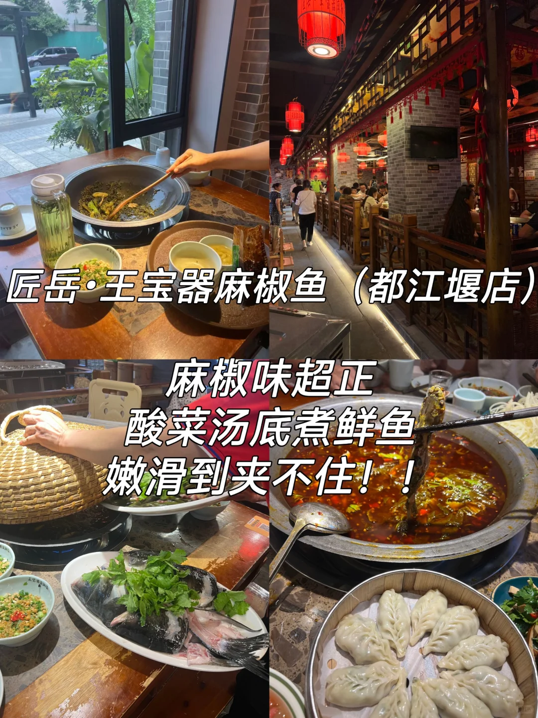 都江堰一日游玩｜懒人轻松版