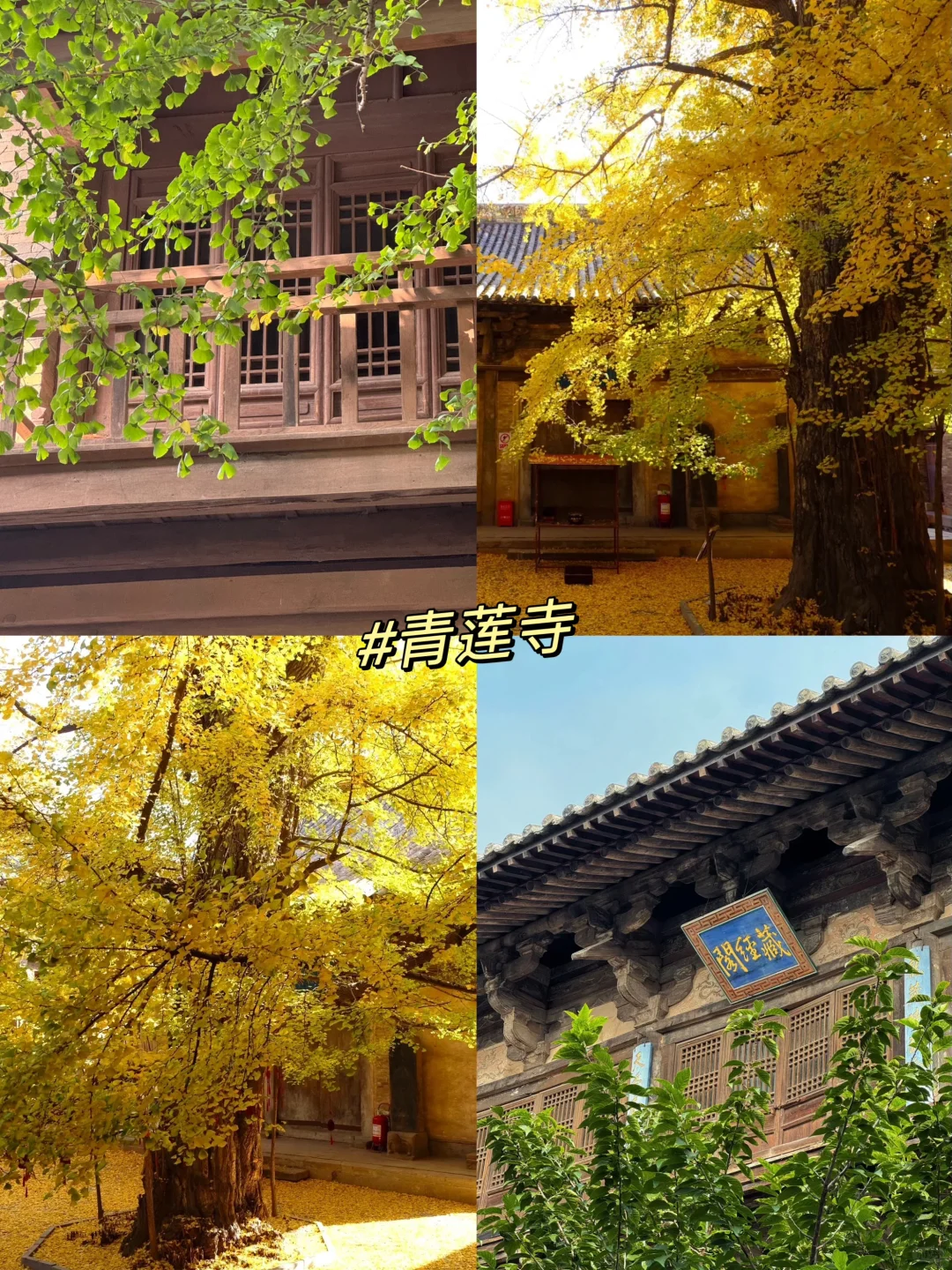 晋城100个免费又好玩的地方！超全！