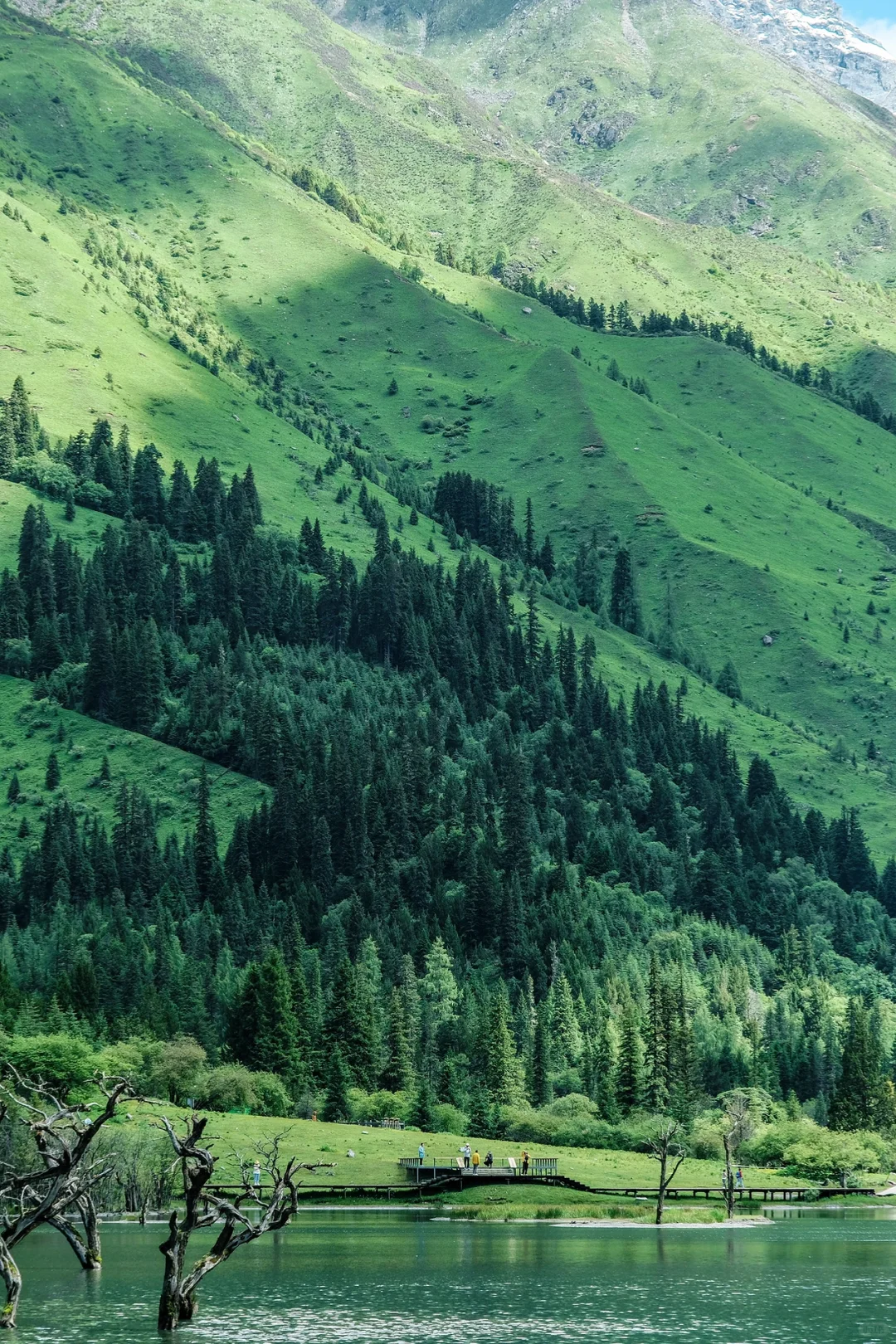 总要去趟四姑娘山，看看封神级别的夏天吧…🍃
