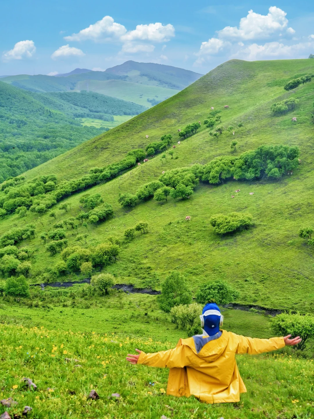 北京3h｜阿尔山平替❗️2天1晚草原自驾🚗攻略