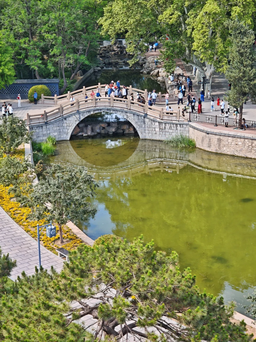 打卡丛台公园，邯郸市区中的的人文宝藏公园