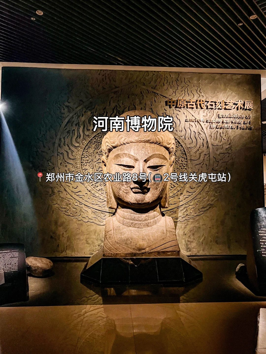 N刷郑州！千万不能错过这篇完整攻略‼️