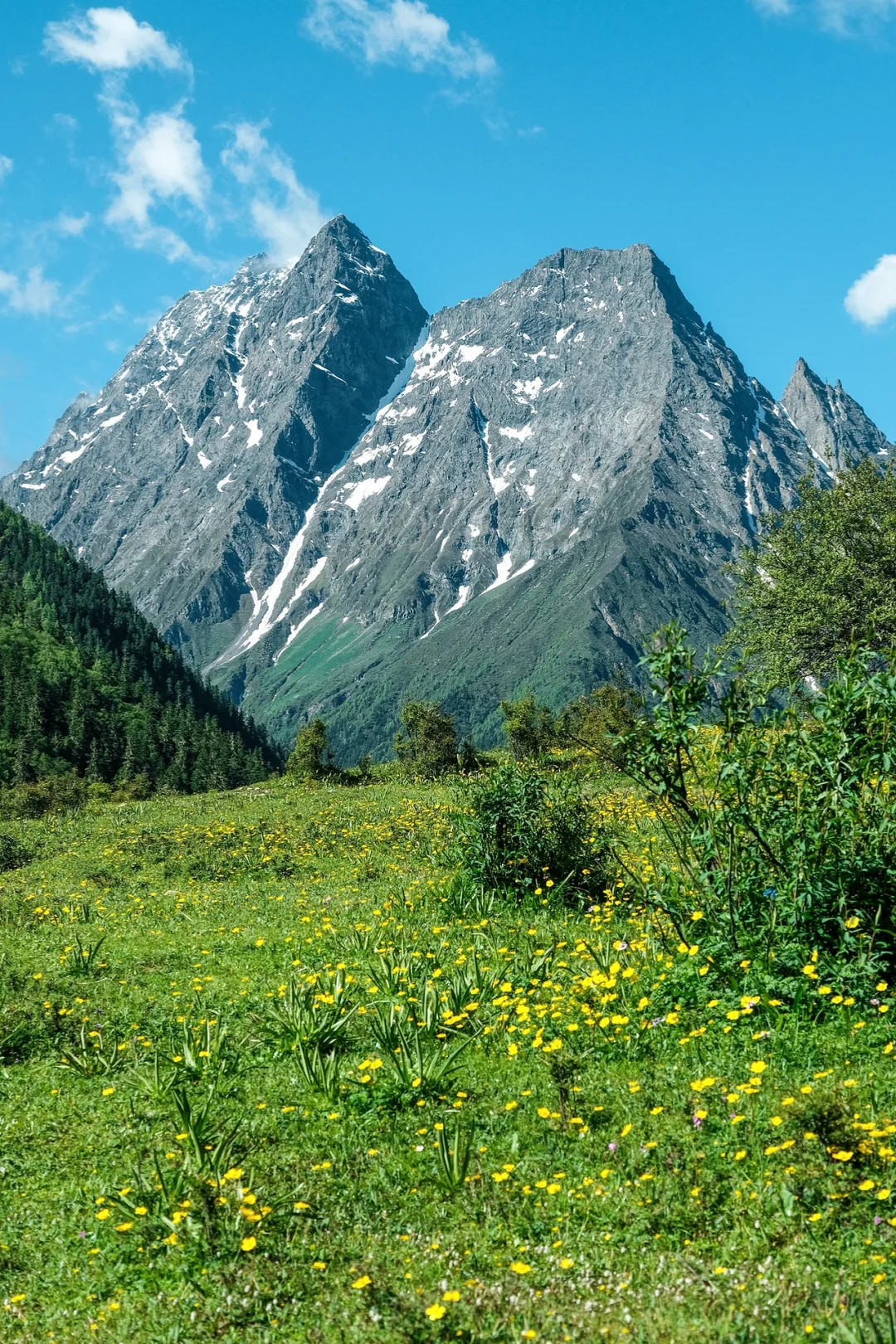 总要去趟四姑娘山，看看封神级别的夏天吧…🍃