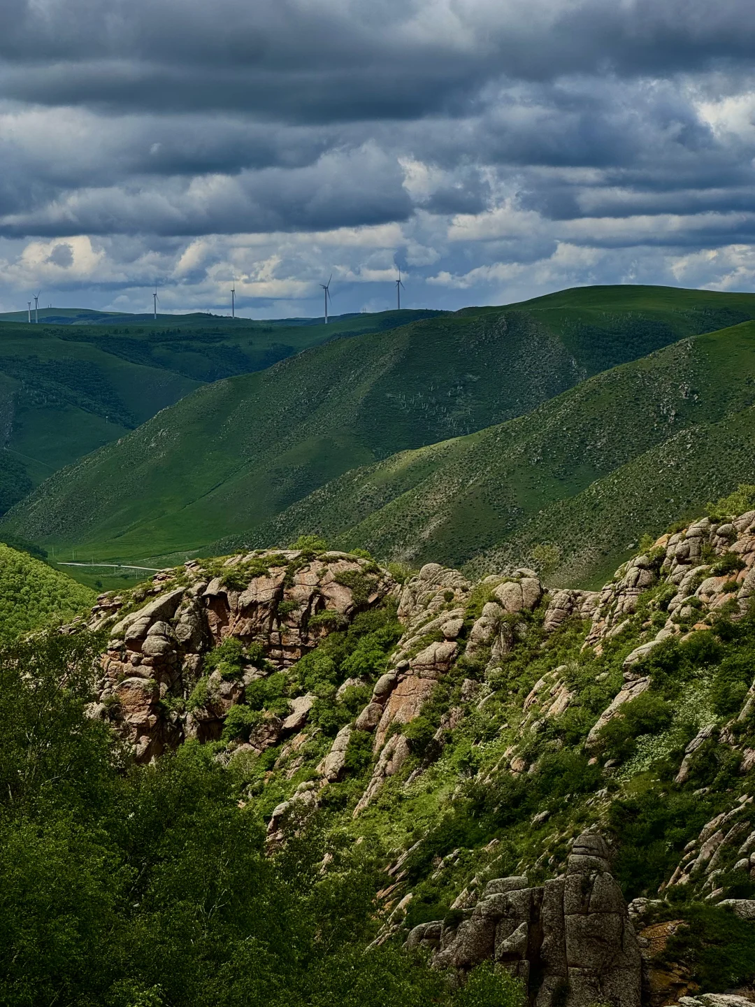 大环境不好，但这里环境好啊🌱