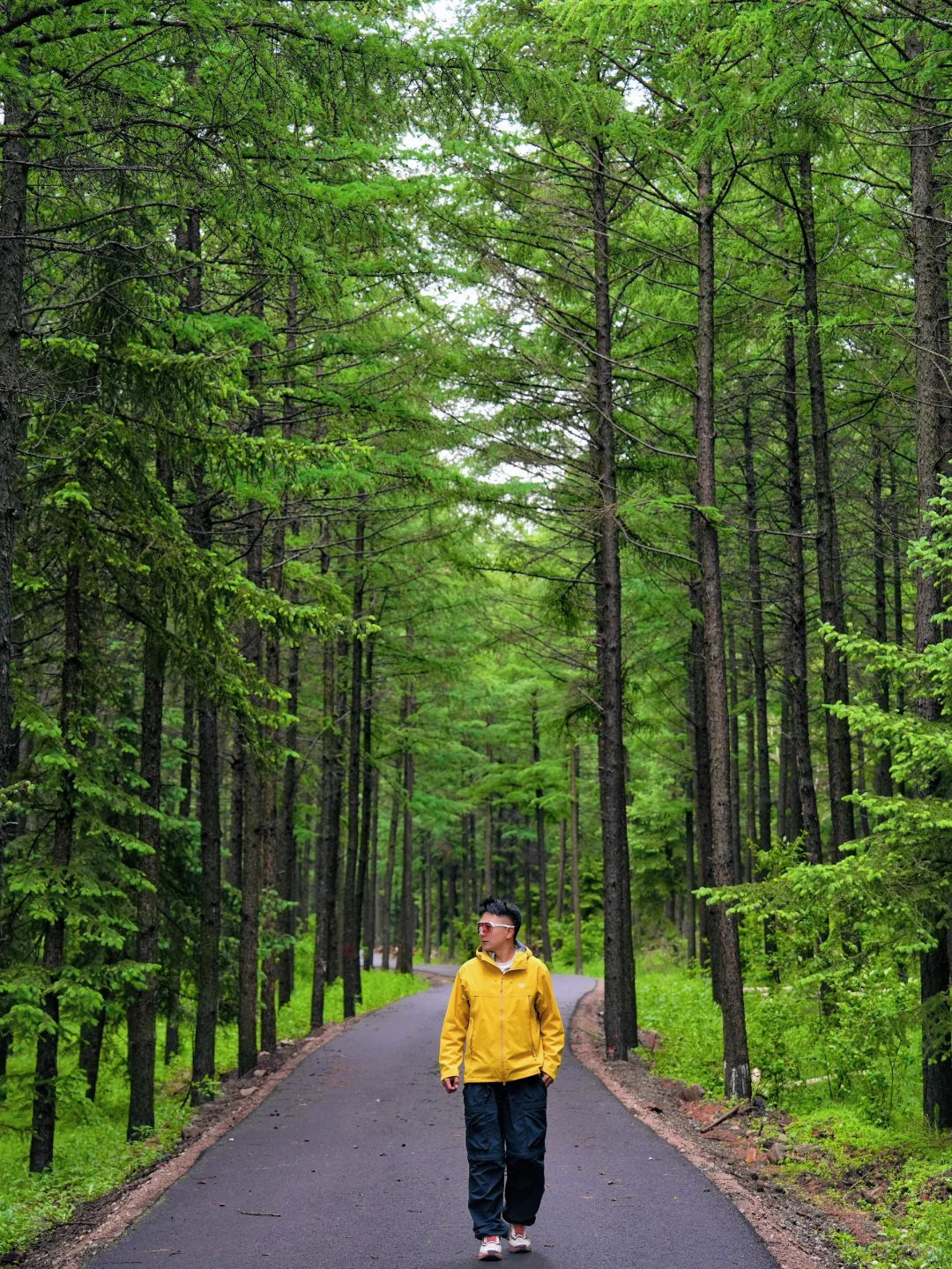 北京3h｜阿尔山平替❗️2天1晚草原自驾🚗攻略
