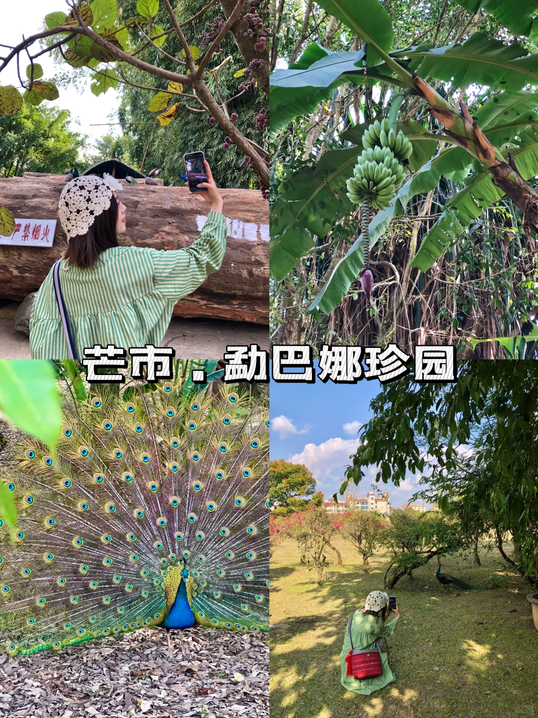 芒市必去的10个地方👏🏻送给第一次来的你…