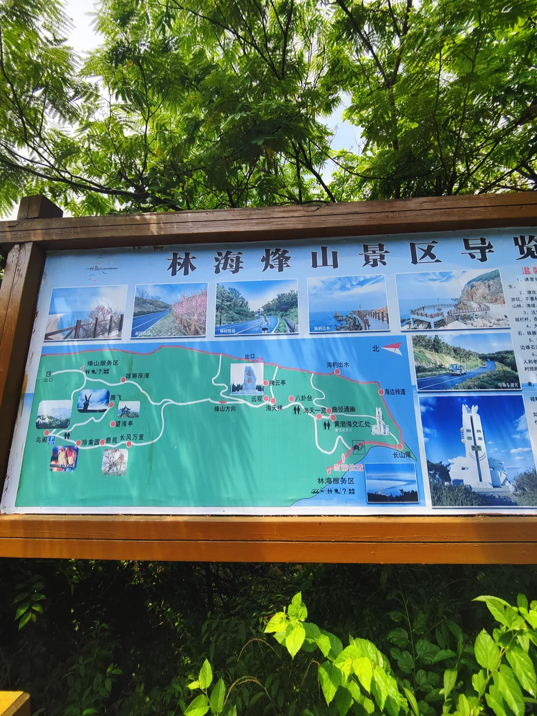 🌊长岛避坑&种草攻略