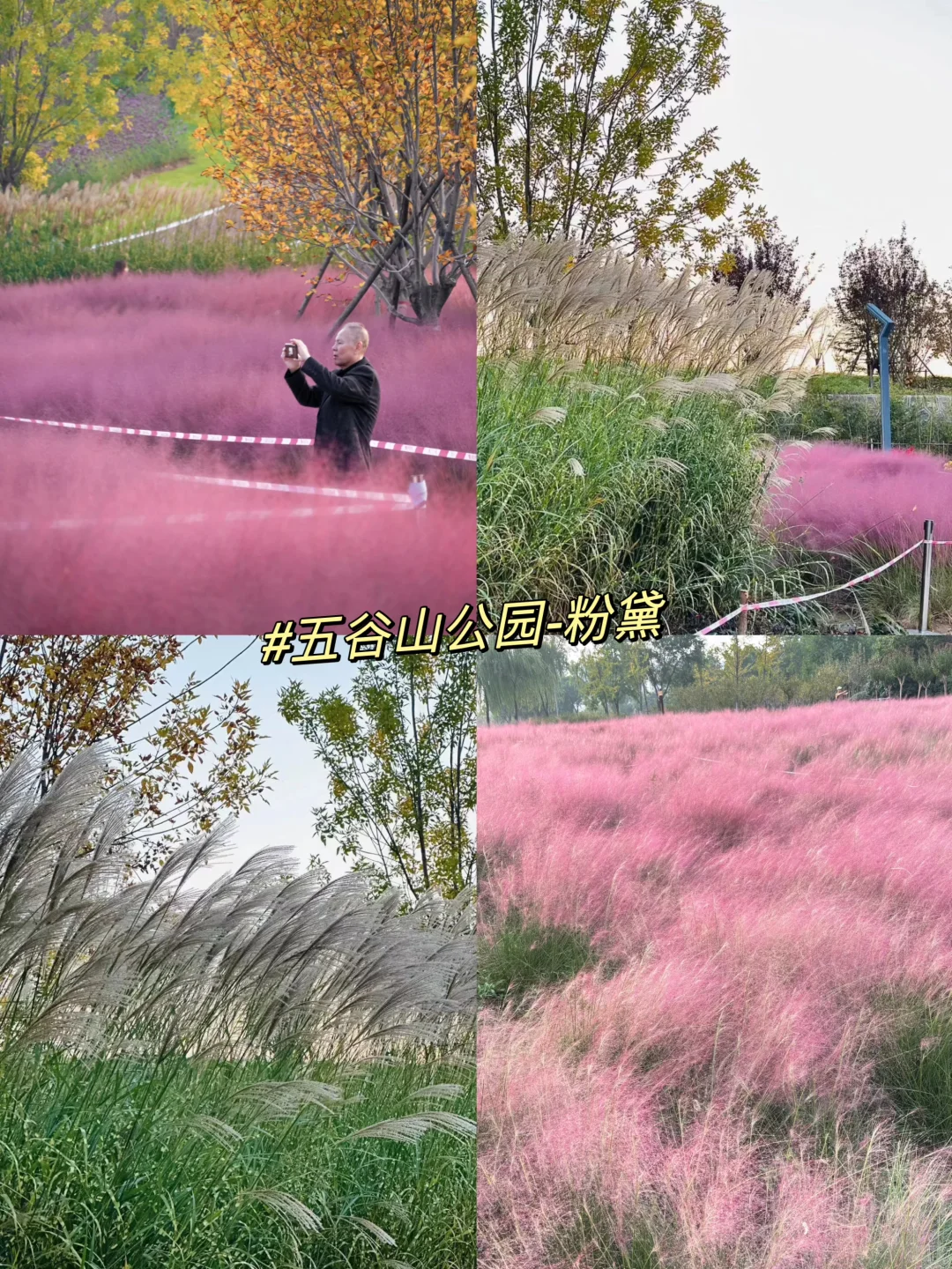 晋城100个免费又好玩的地方!!第3期来啦!