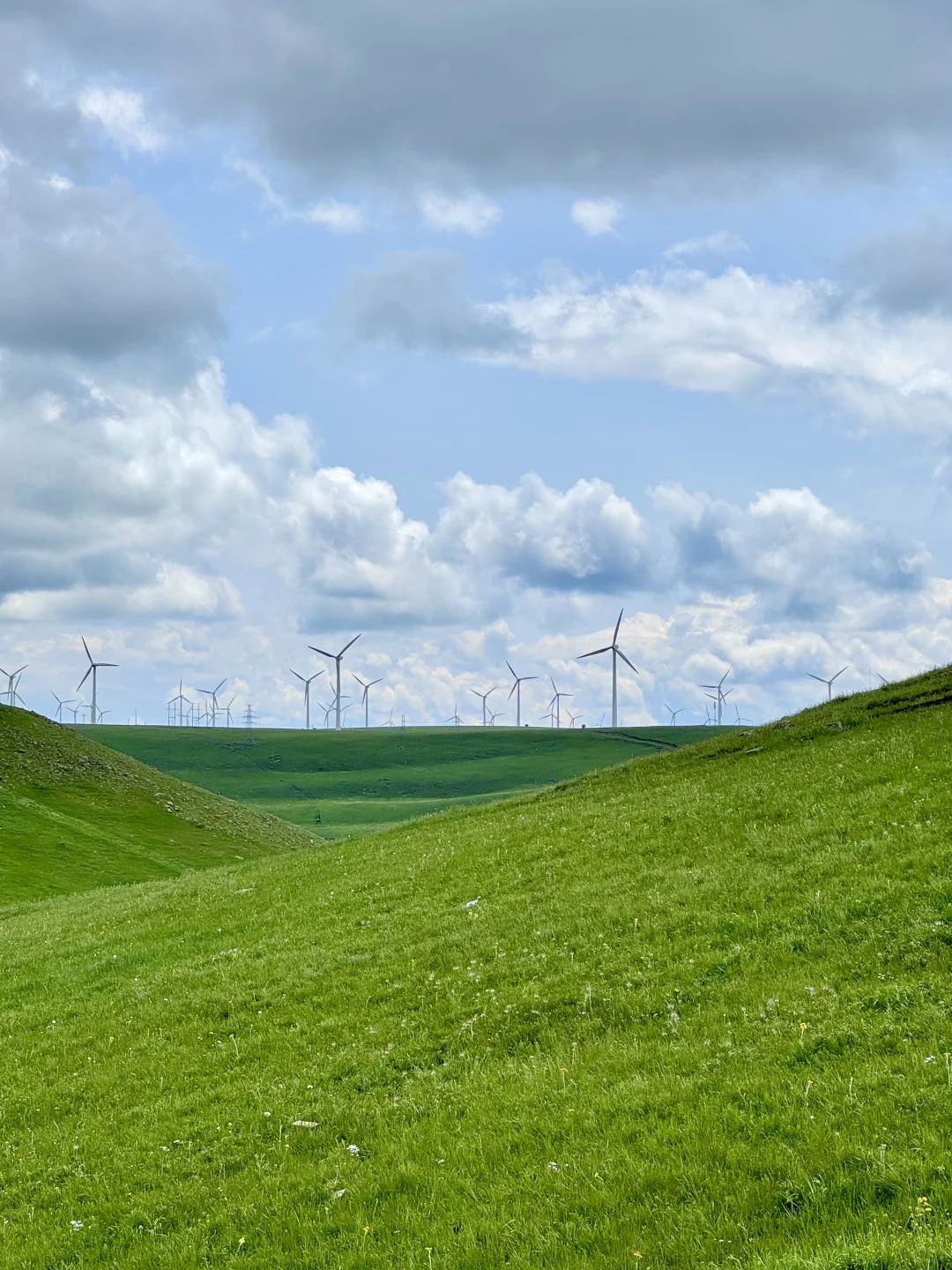 大环境不好，但这里环境好啊🌱