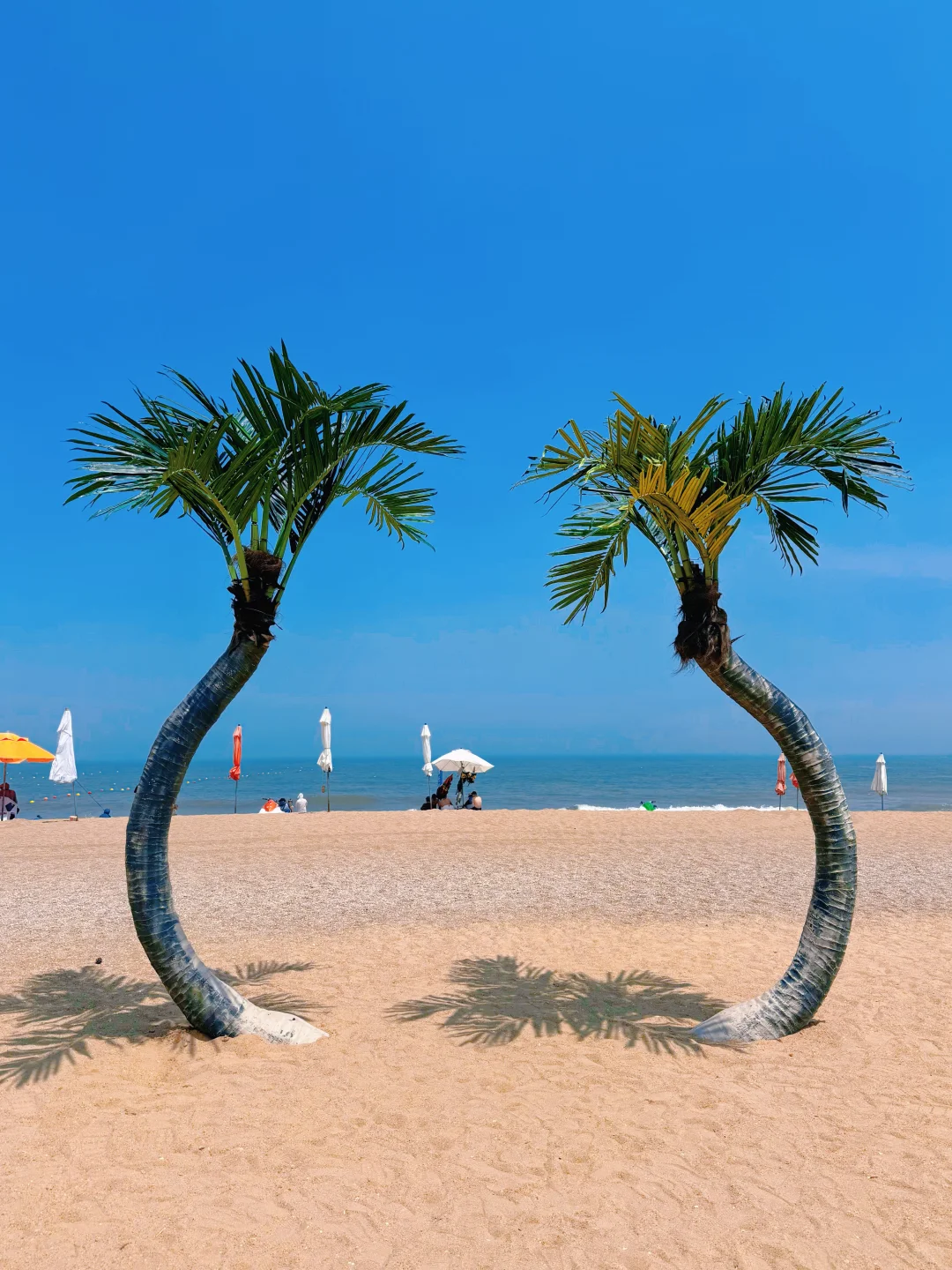 📍日照 | 夏日旅行攻略