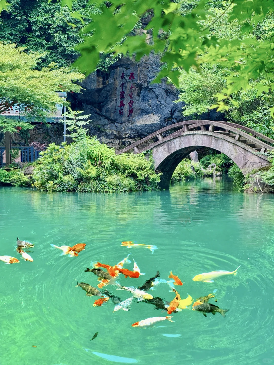 今年去过浙江最舒服的冷门小城❗️还好它没火