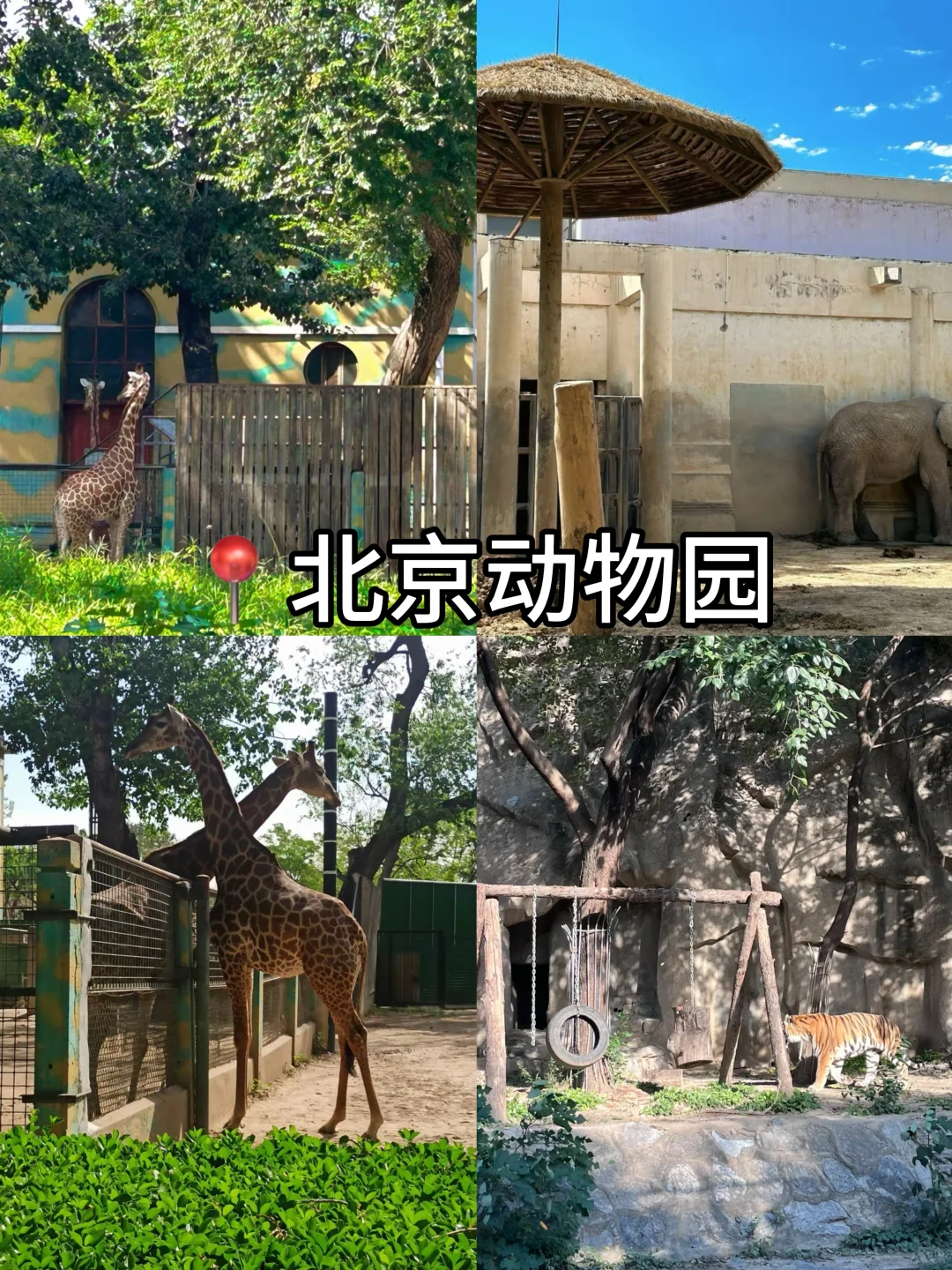 ‼️北京免预约景点大全|这些景点直接去🔥