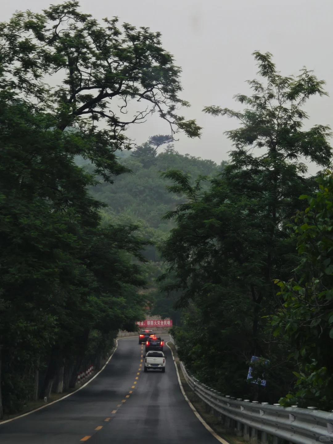 孕妈妈码住❗️绝佳放松静谧避暑胜地