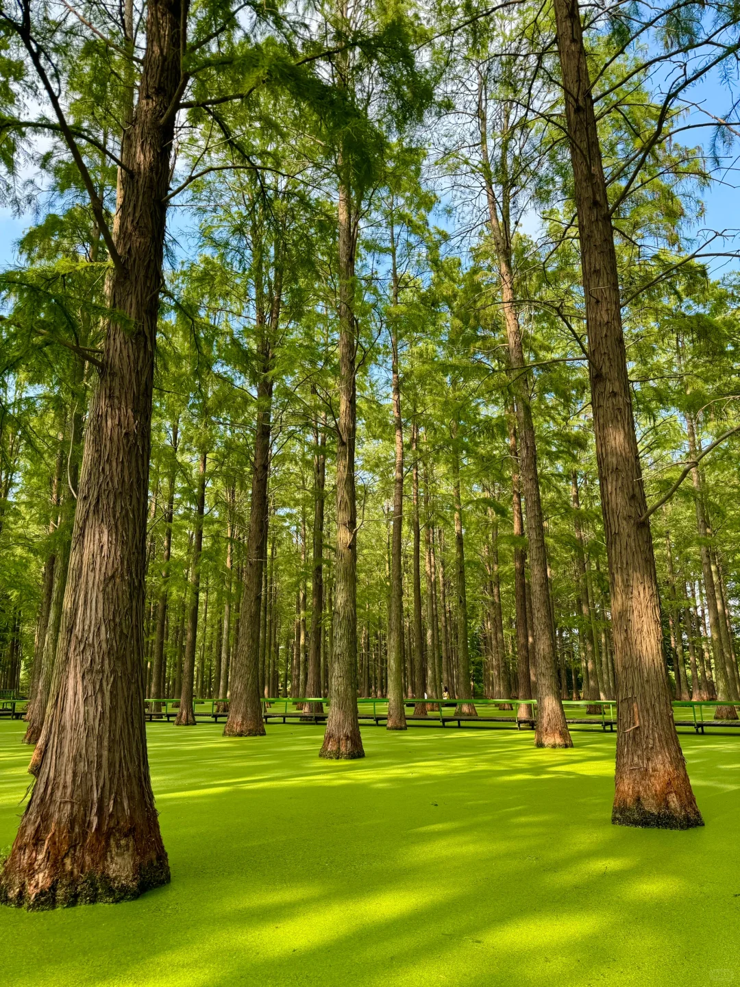 离大谱！！开车1小时到了村里竟然