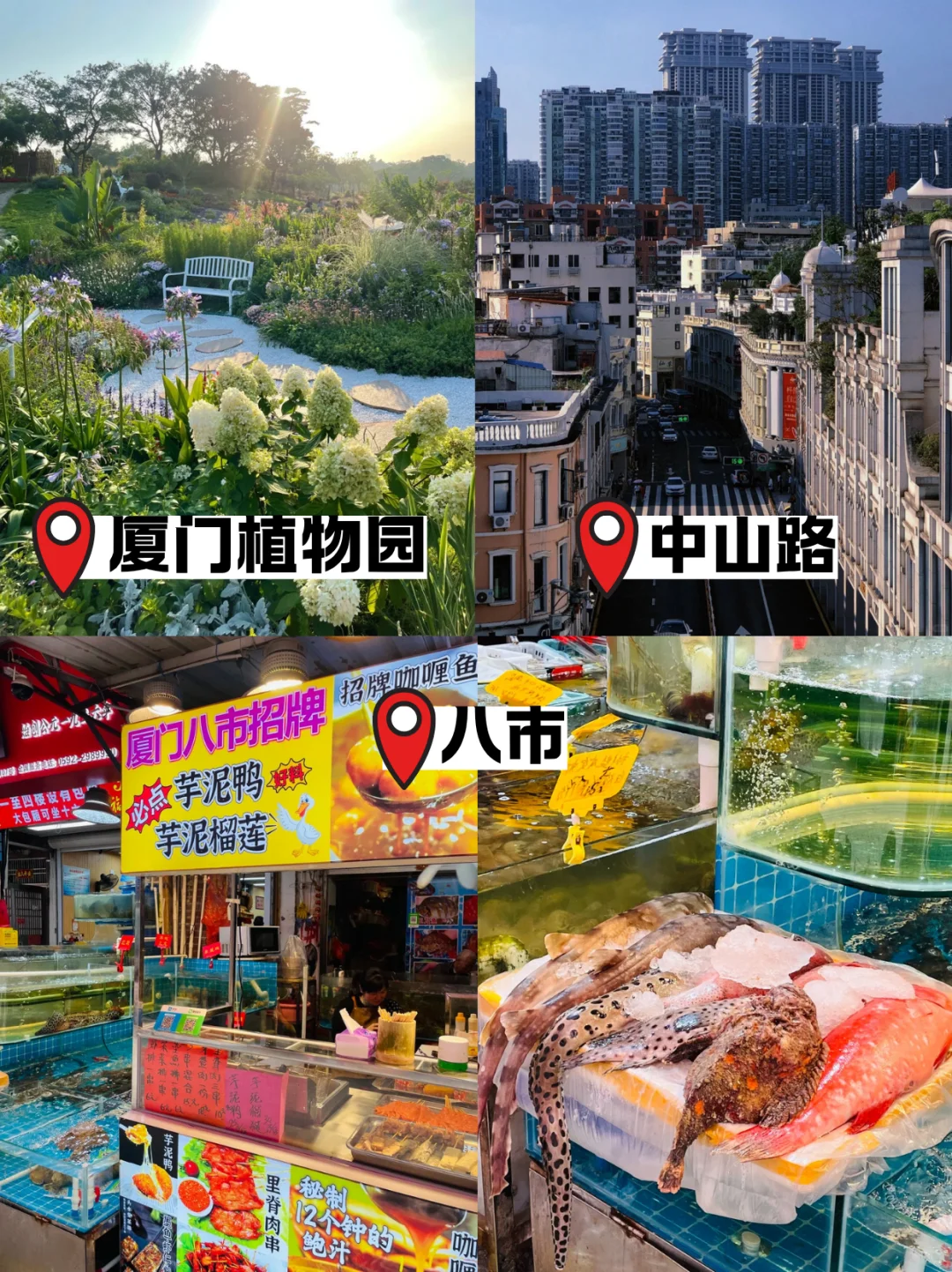 厦门保姆级三日游 | 海景古巷一网打尽