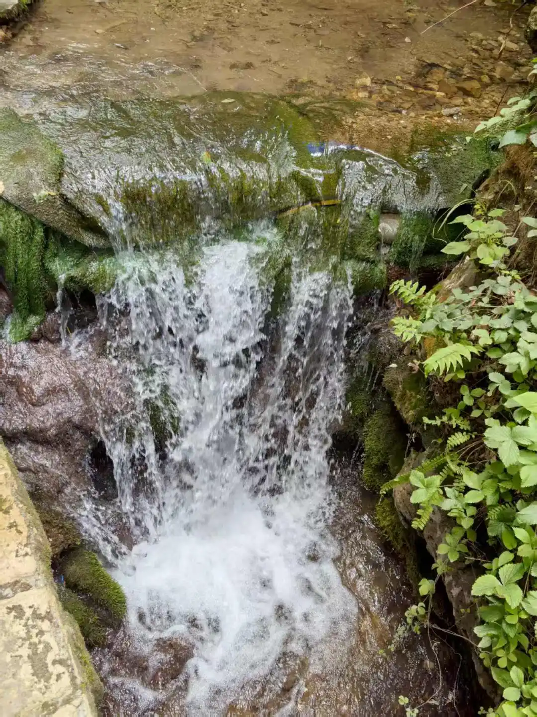 栾川重渡沟景区(一)