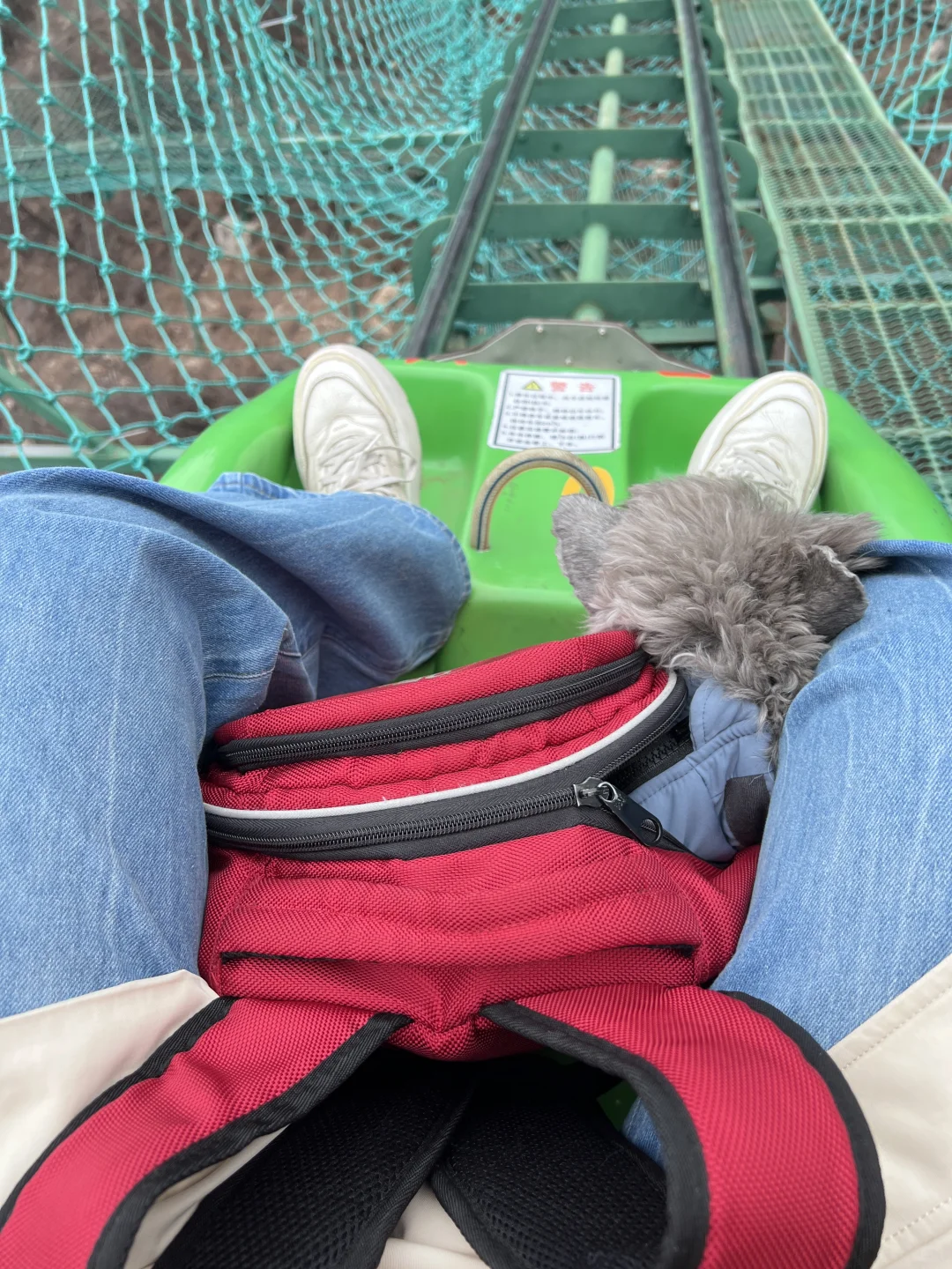 🐕带着毛孩子自驾奔赴邯郸 | Day3