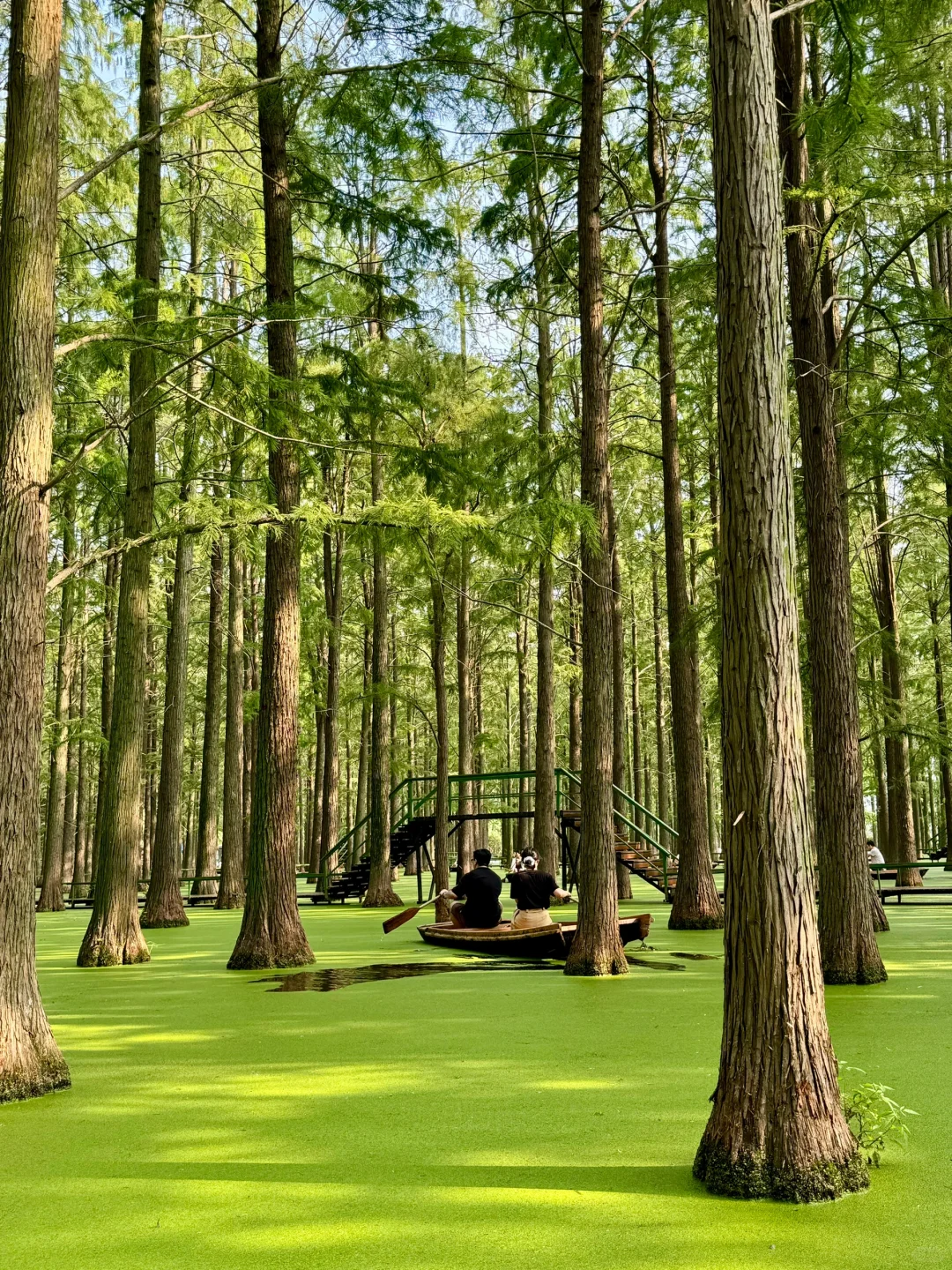 离大谱！！开车1小时到了村里竟然
