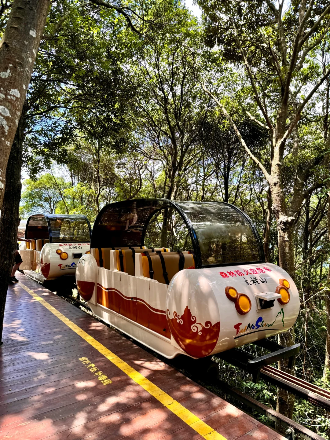 这山又免费了！！不爬对不起自己！