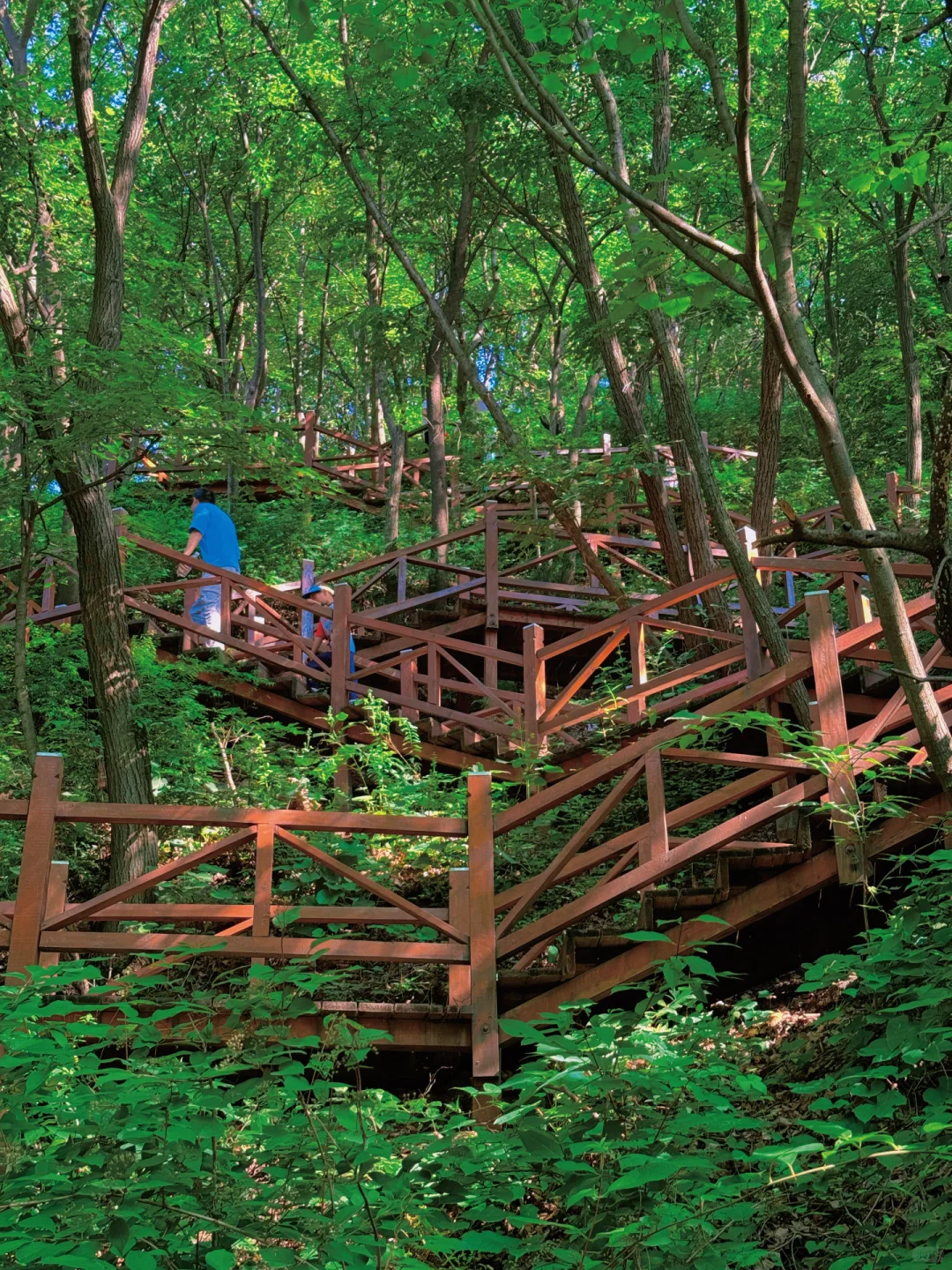 太出片了❗️隐藏在京郊山谷的