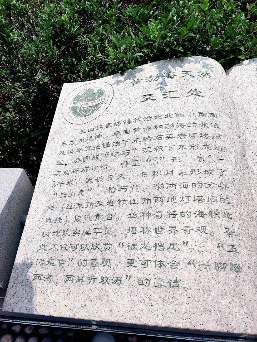 🌊长岛避坑&种草攻略