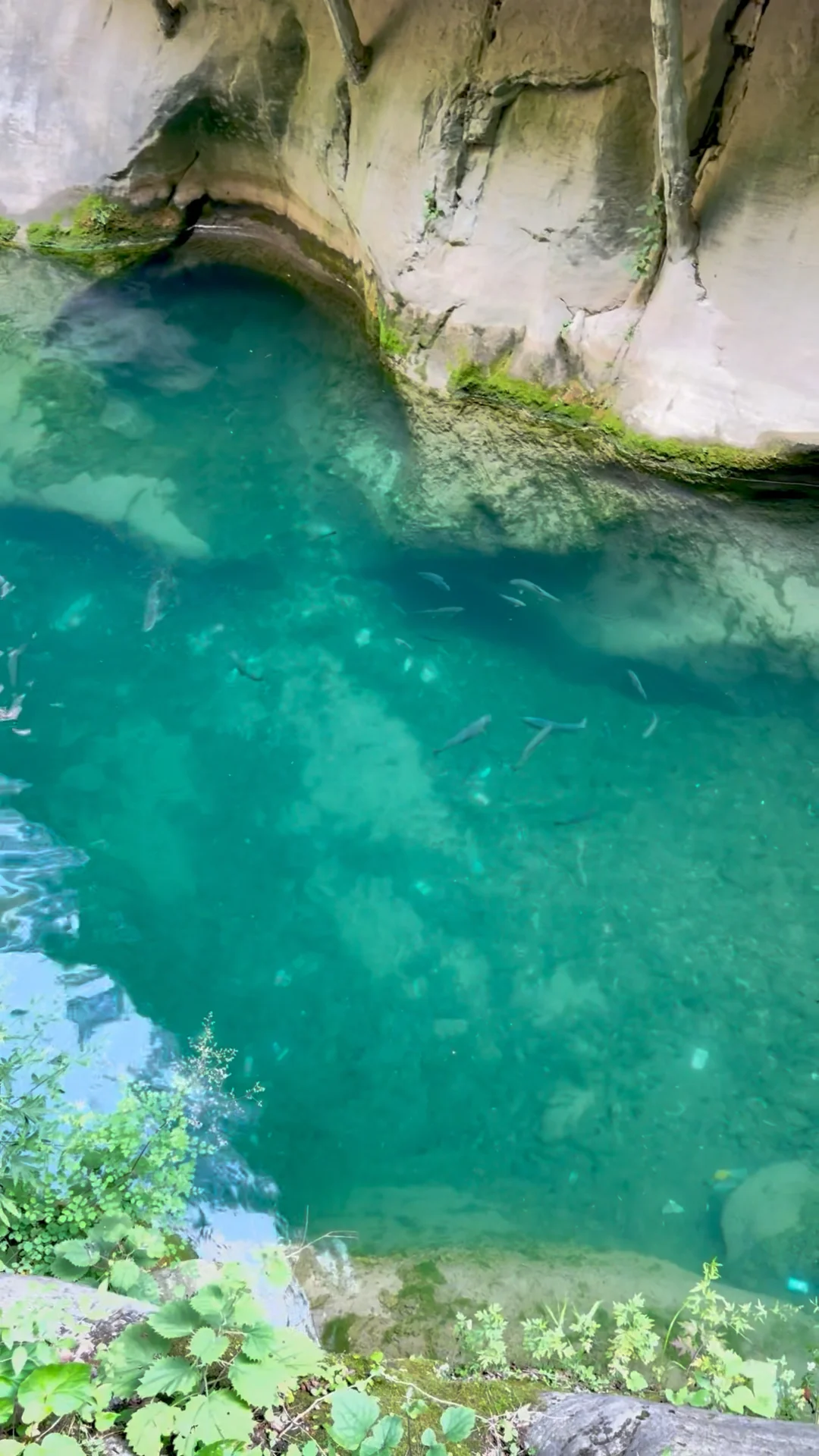 山西八泉峡｜被低估的5A神仙景区！🚡⛰