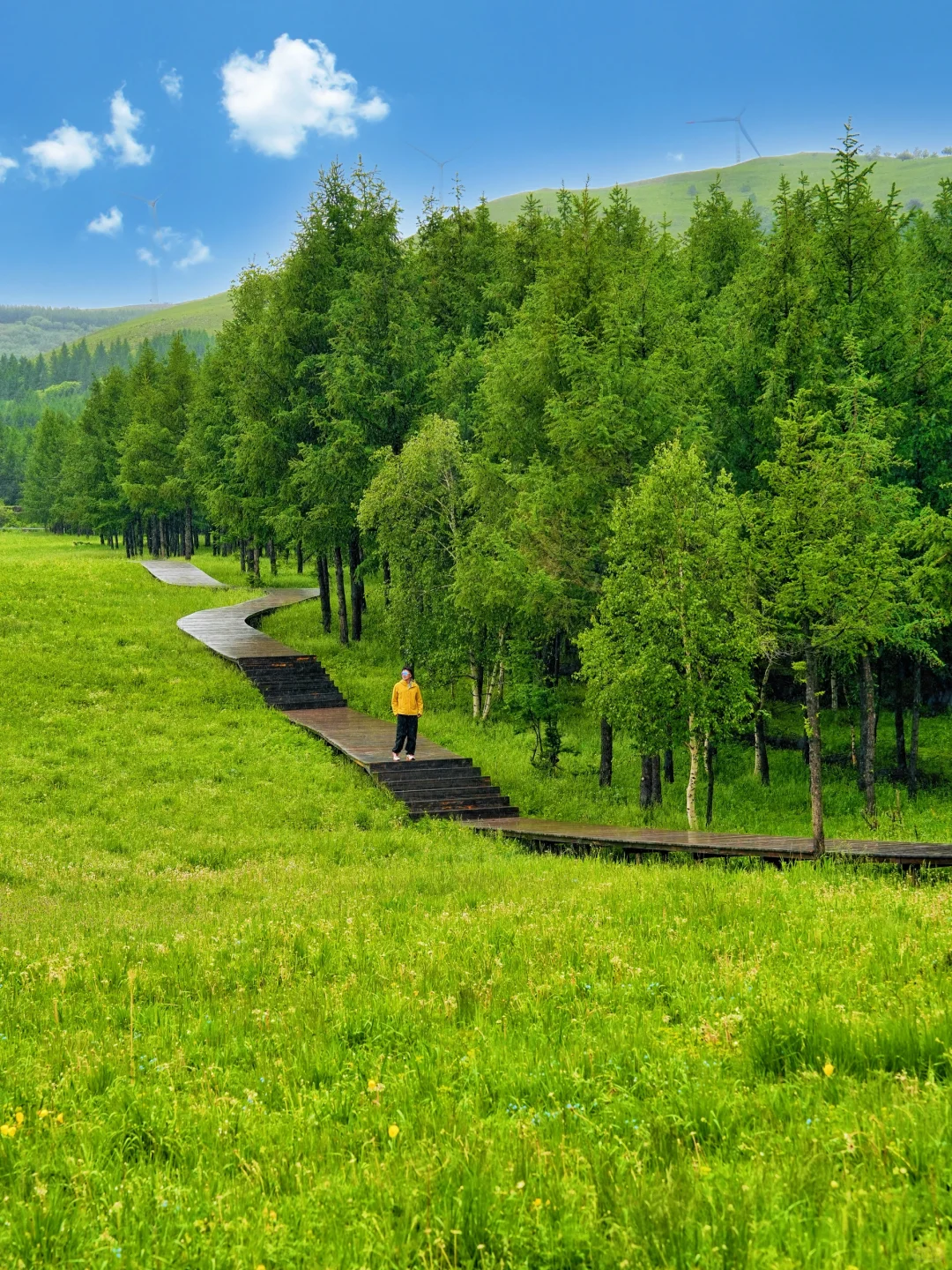 北京3h｜阿尔山平替❗️2天1晚草原自驾🚗攻略
