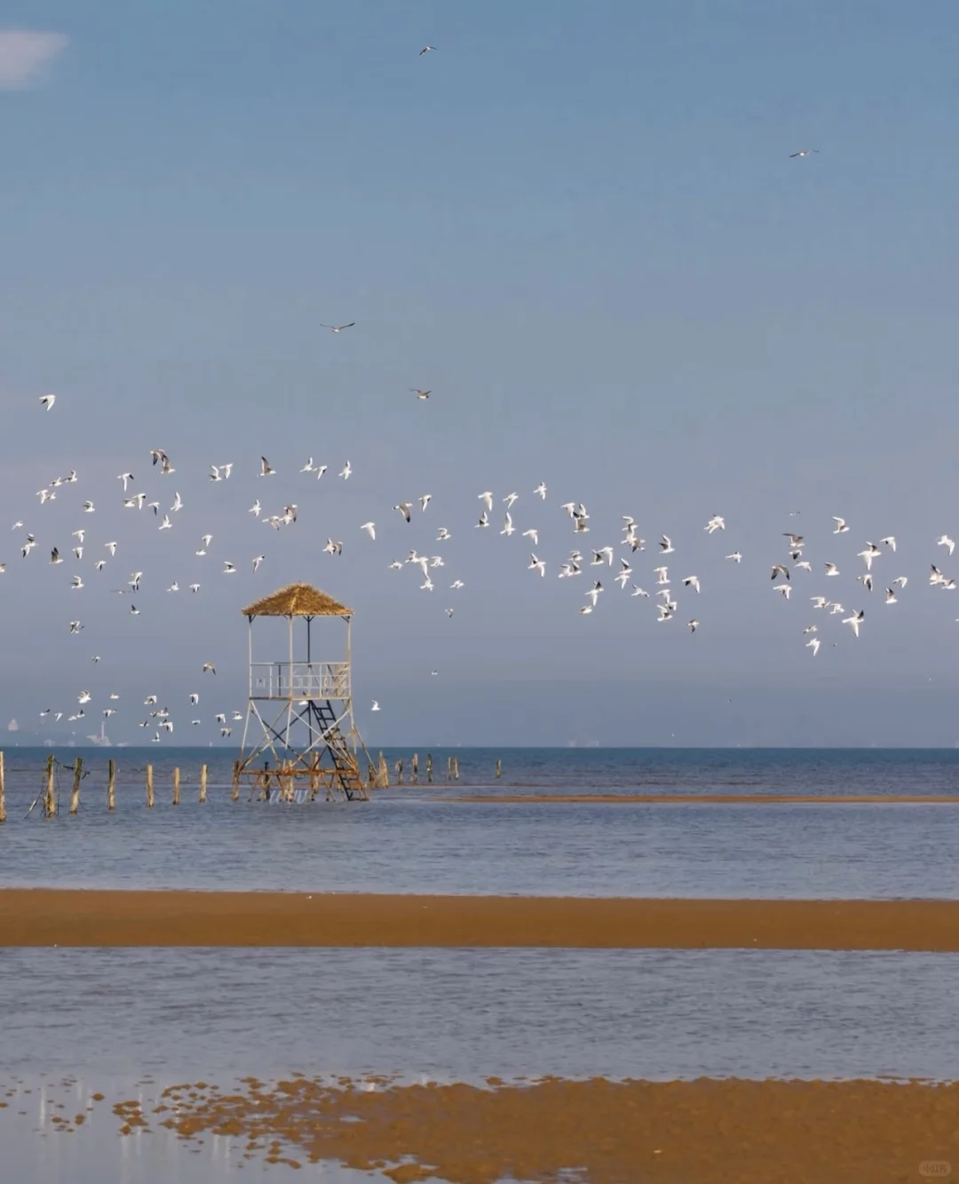 🌊 秦皇岛必玩9大景区全攻略 🌊
