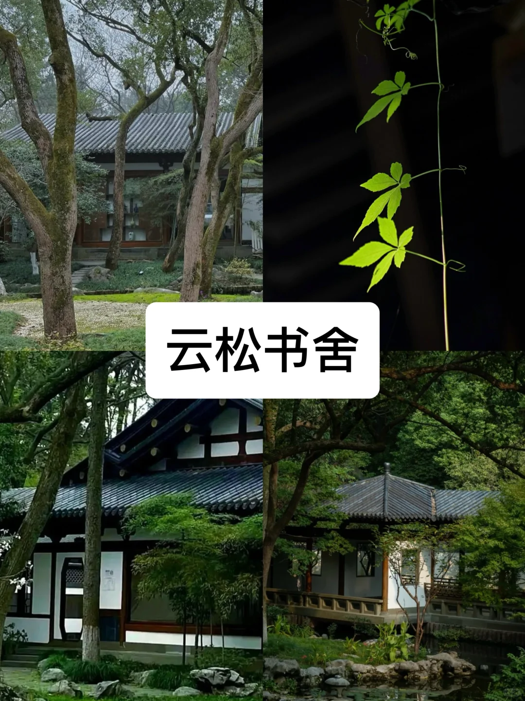 来杭州度夏必去的8️⃣大景点（不踩雷小众版）！