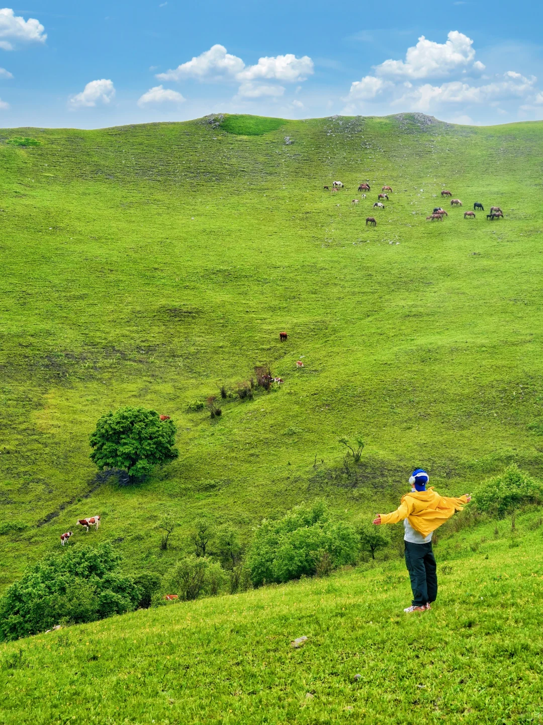 北京3h｜阿尔山平替❗️2天1晚草原自驾🚗攻略