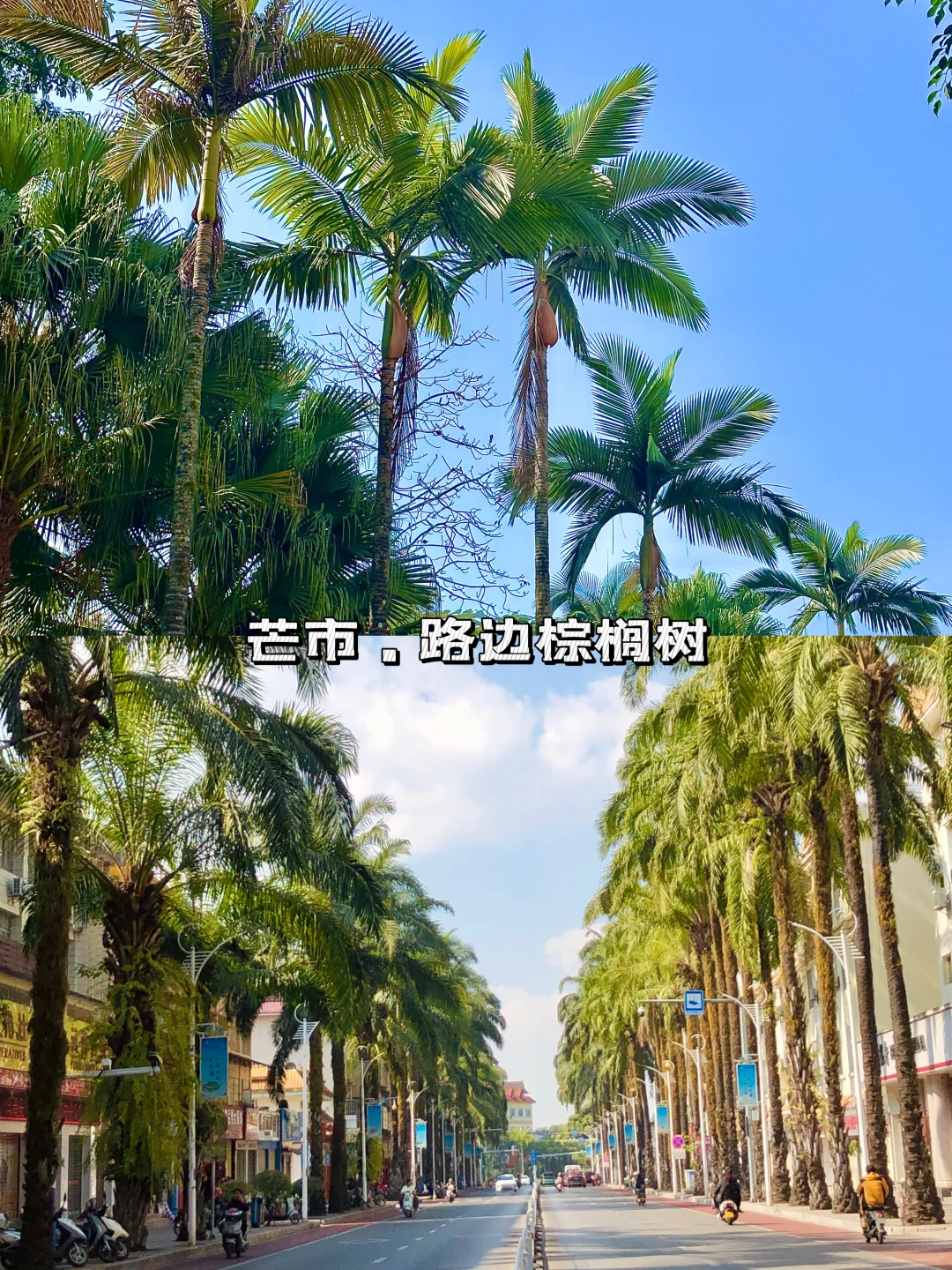 芒市必去的10个地方👏🏻送给第一次来的你…