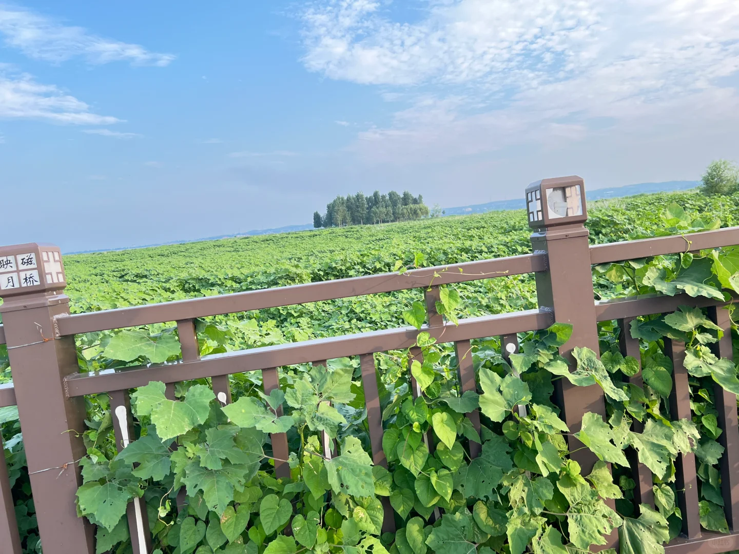 邯郸小三亚。小月龄友好遛娃地