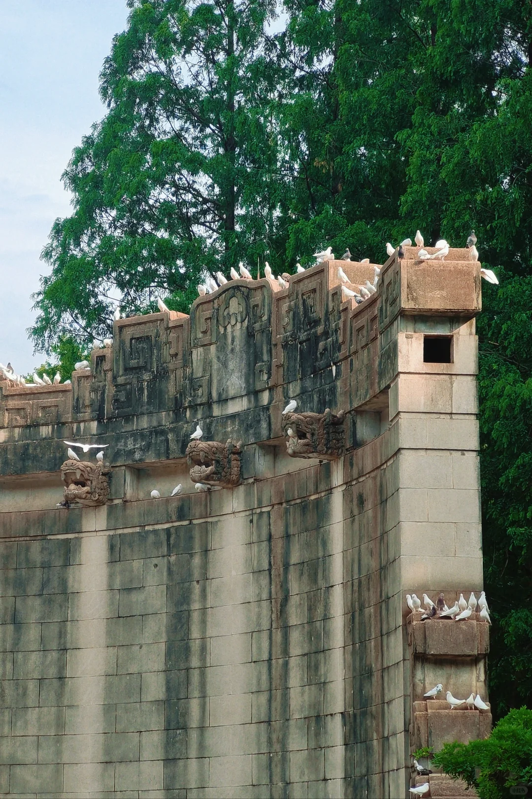 为了这14张图，我去了趟南京……