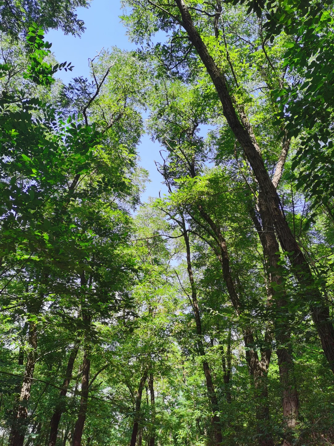 鹿泉封龙山~周末续命好去处