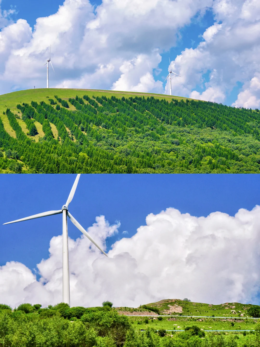 北京3h｜阿尔山平替❗️2天1晚草原自驾🚗攻略