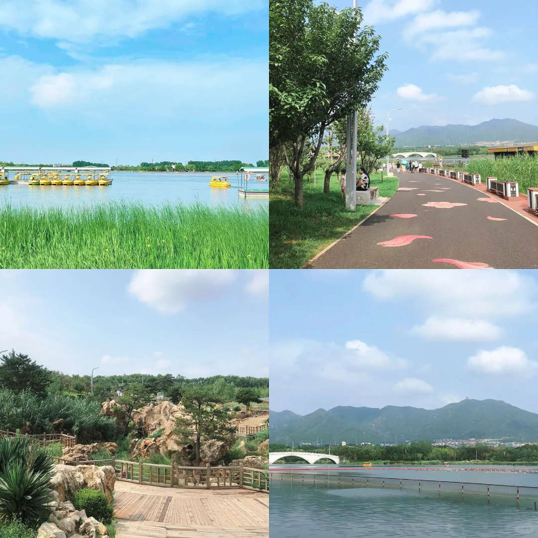 🌷周末到河北，石家庄龙泉湖湿地美爆了！