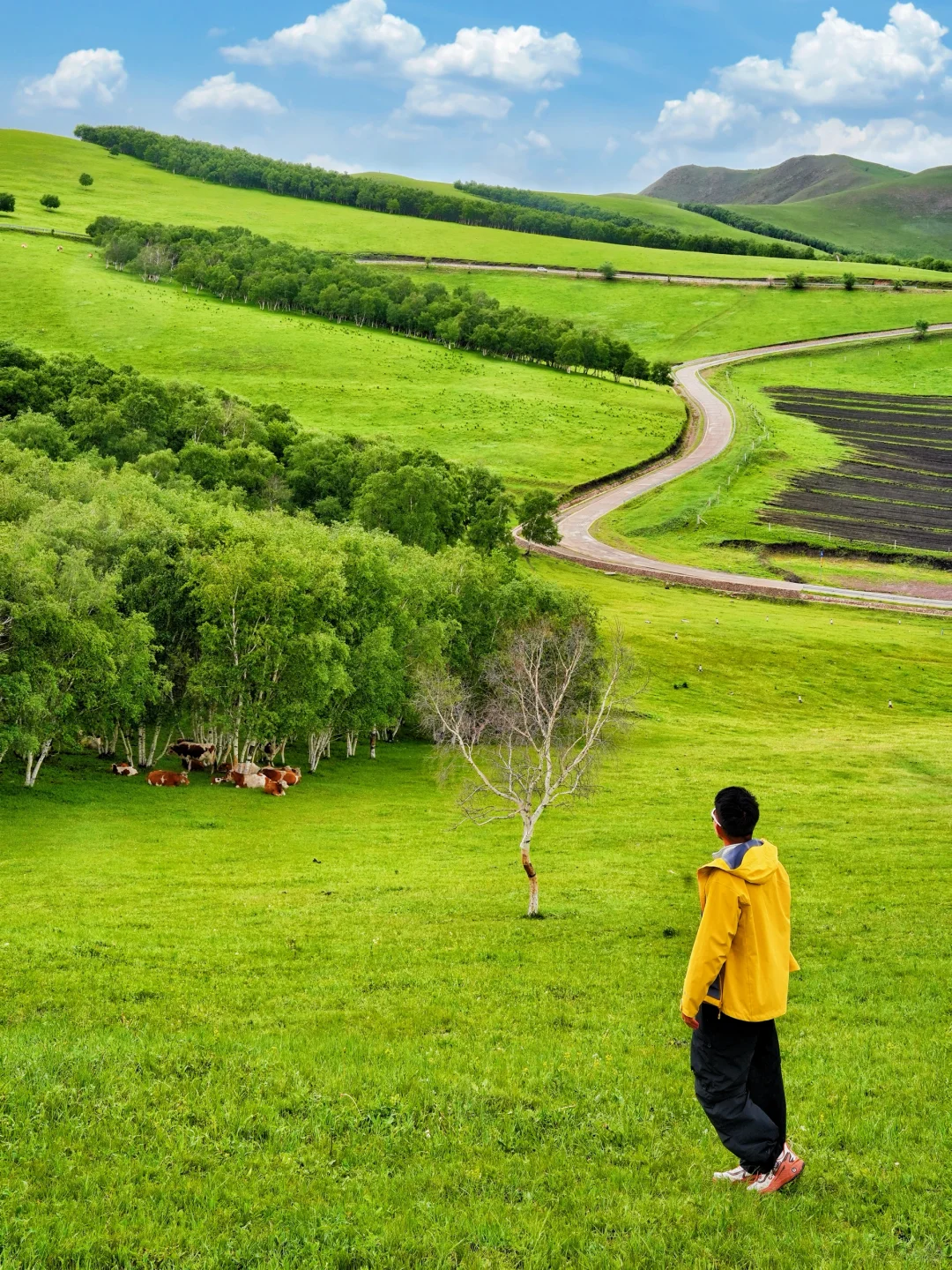 北京3h｜阿尔山平替❗️2天1晚草原自驾🚗攻略