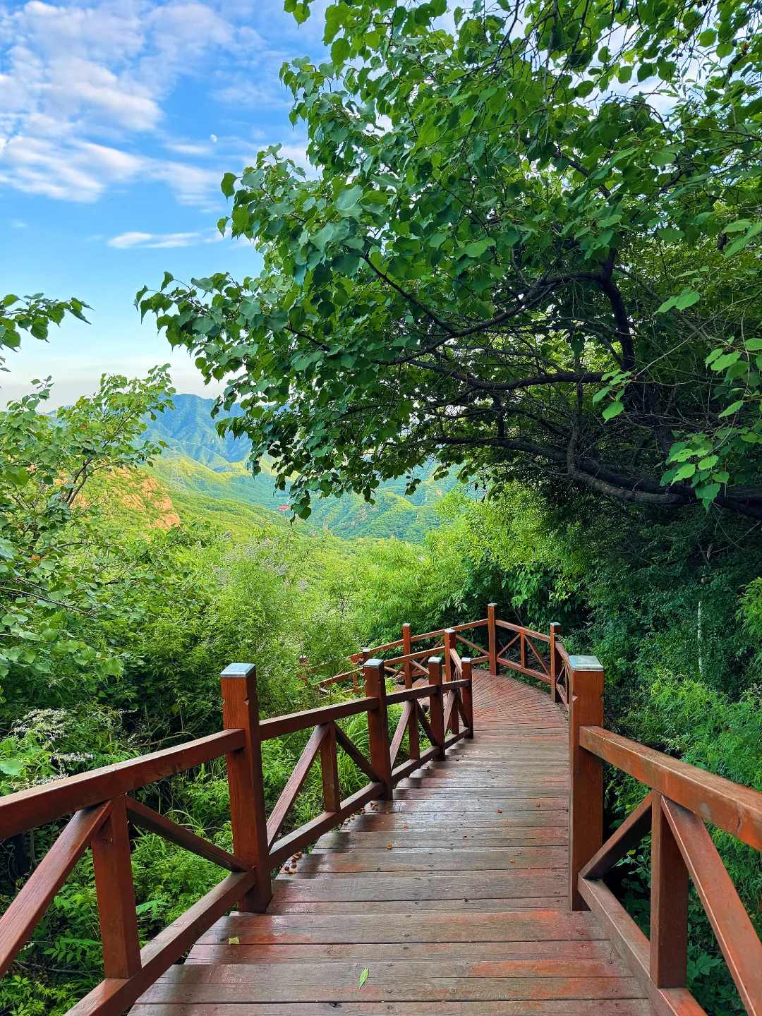 太出片了❗️隐藏在京郊山谷的
