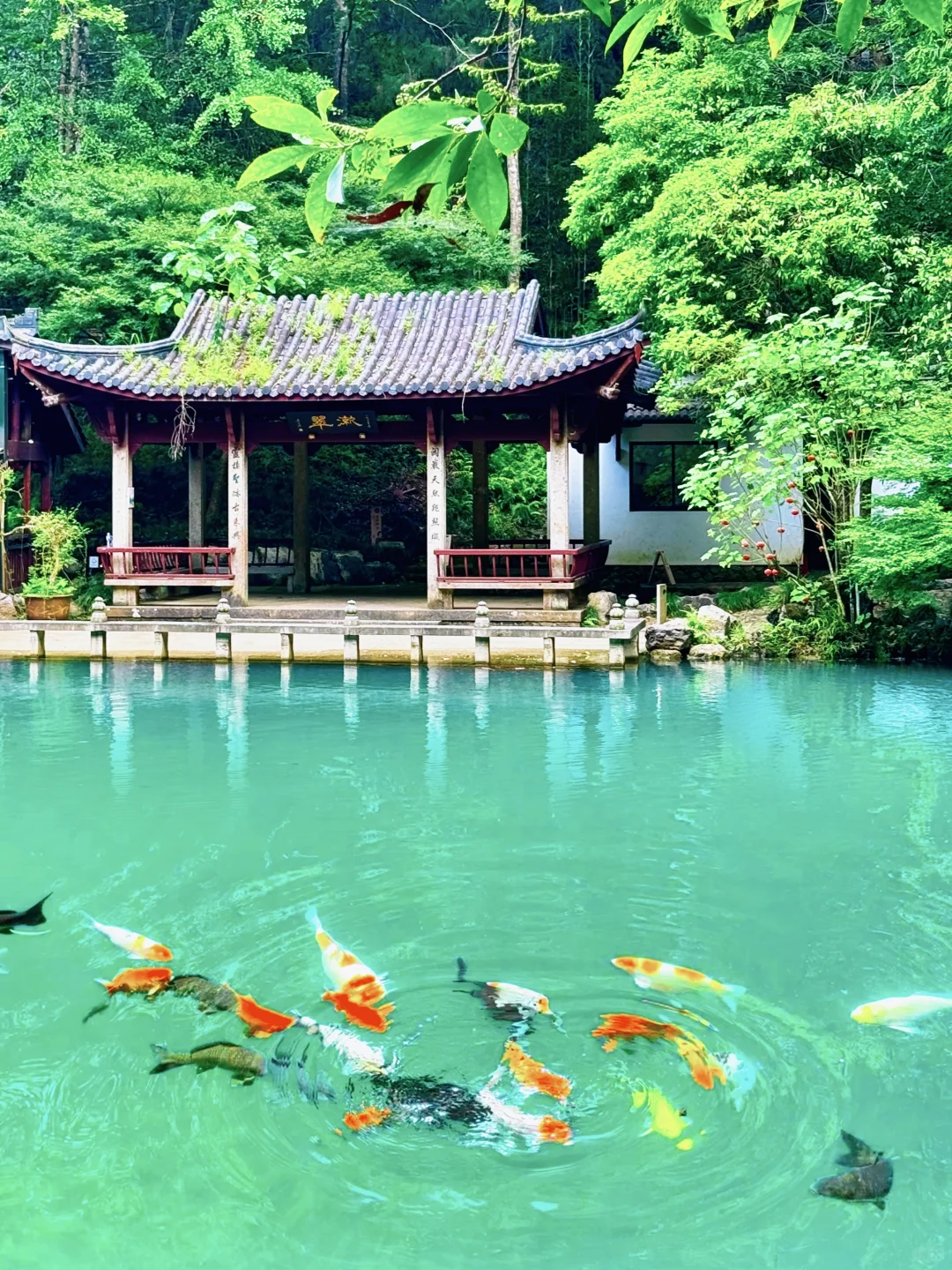 今年去过浙江最舒服的冷门小城❗️还好它没火