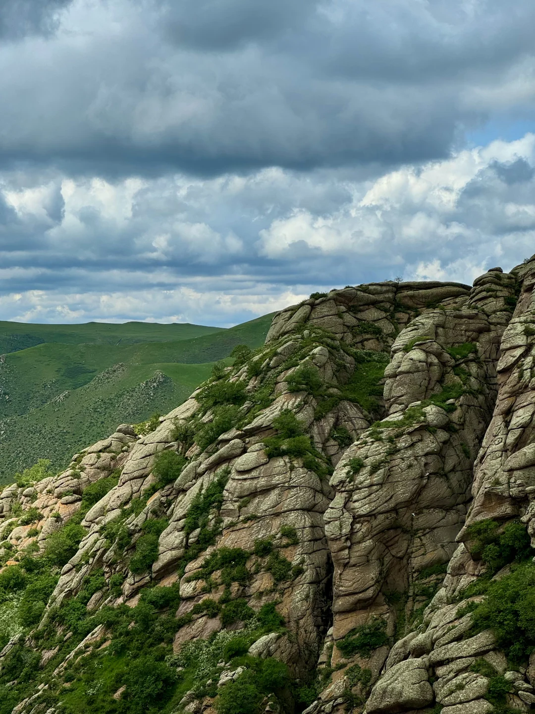 大环境不好，但这里环境好啊🌱