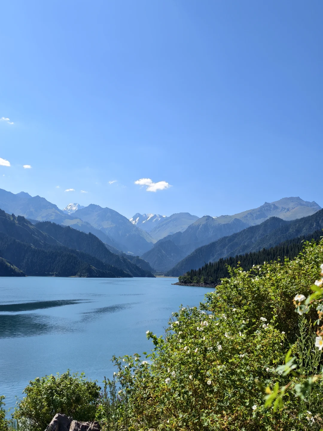 天山天池 | 开启新疆旅途的惊喜 3h游玩推荐
