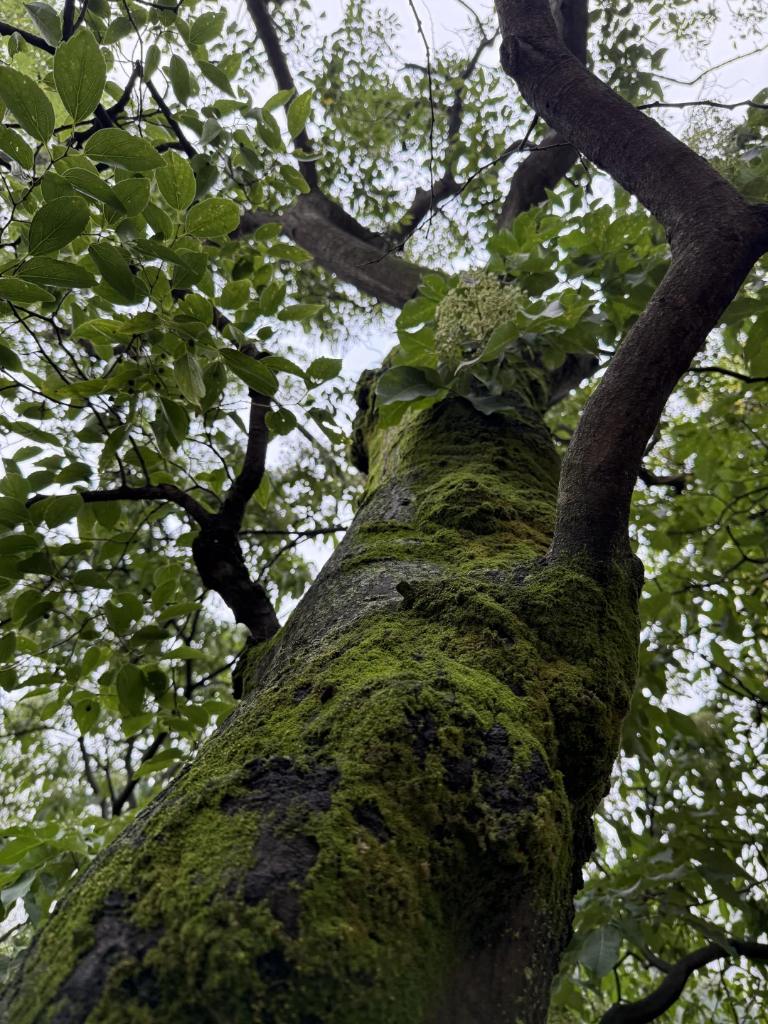 这么近那么美 周末到河北（性价比超高农家乐