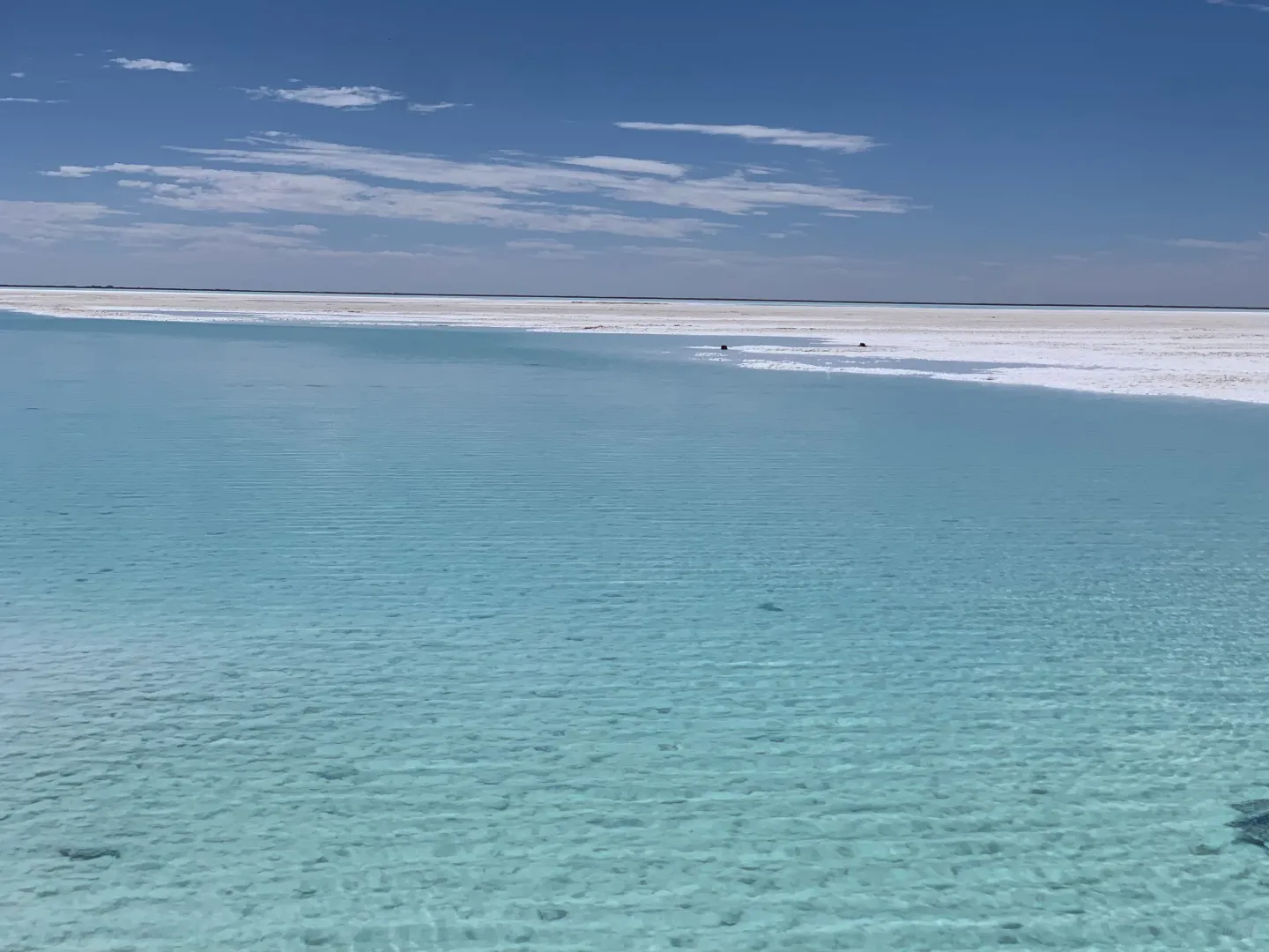 是谁的伞掉在翡翠湖里了！